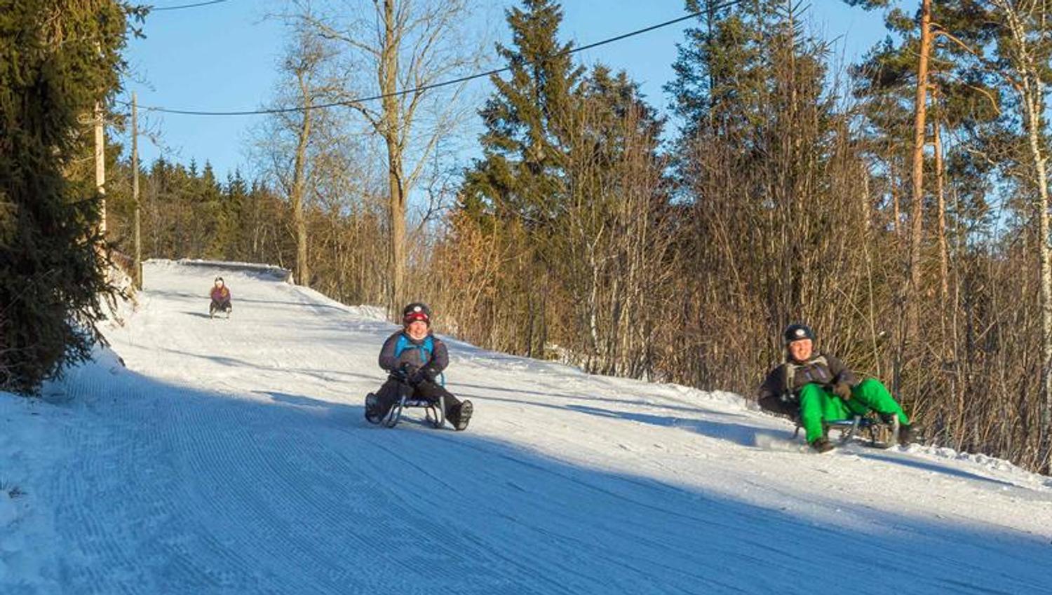 Three people sledding down a snow-covered hill, trees in the background.