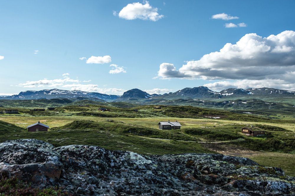 Sti og støl