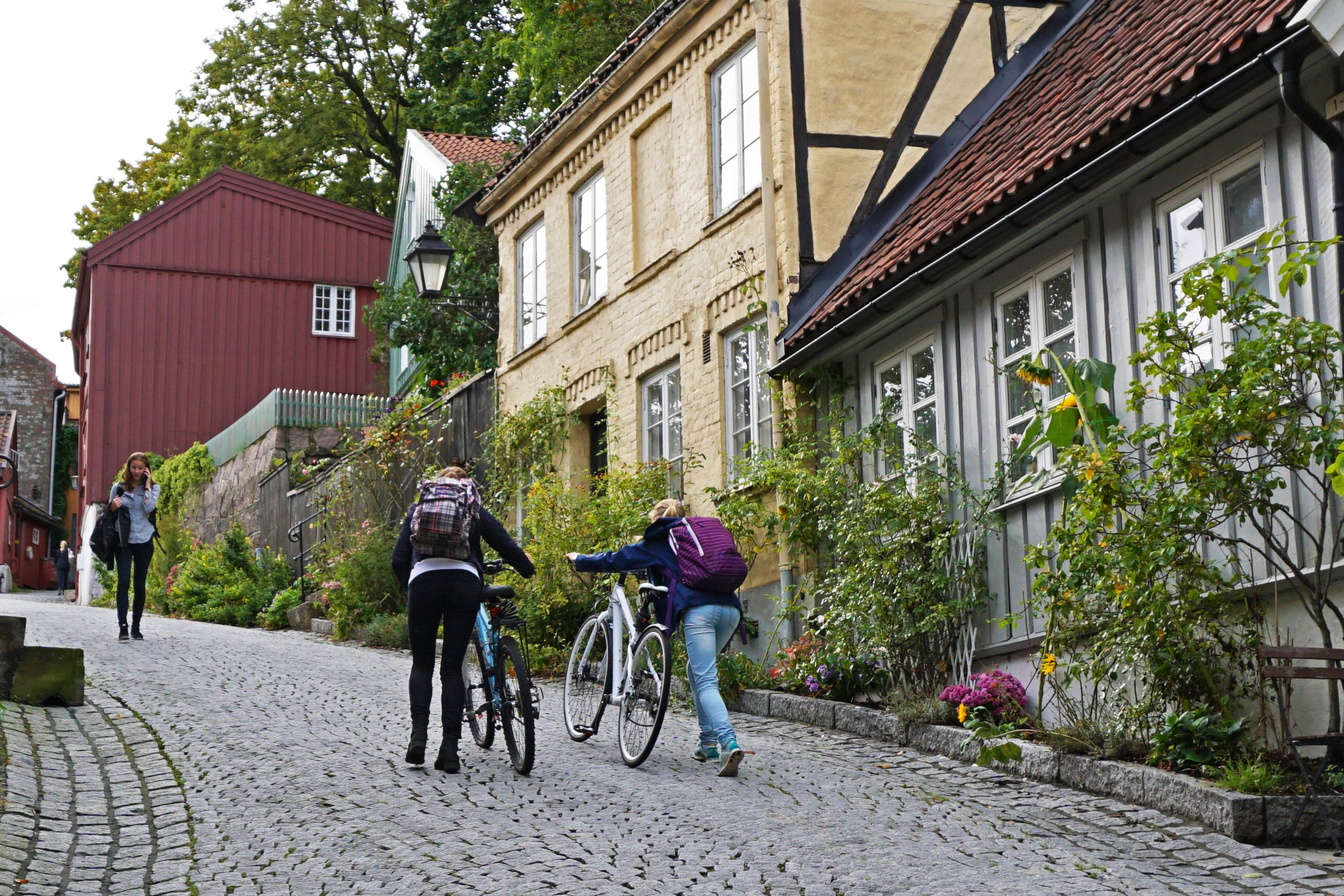 A couple of people rolling their bikes up Telthusbakken, a girl walking downhill.