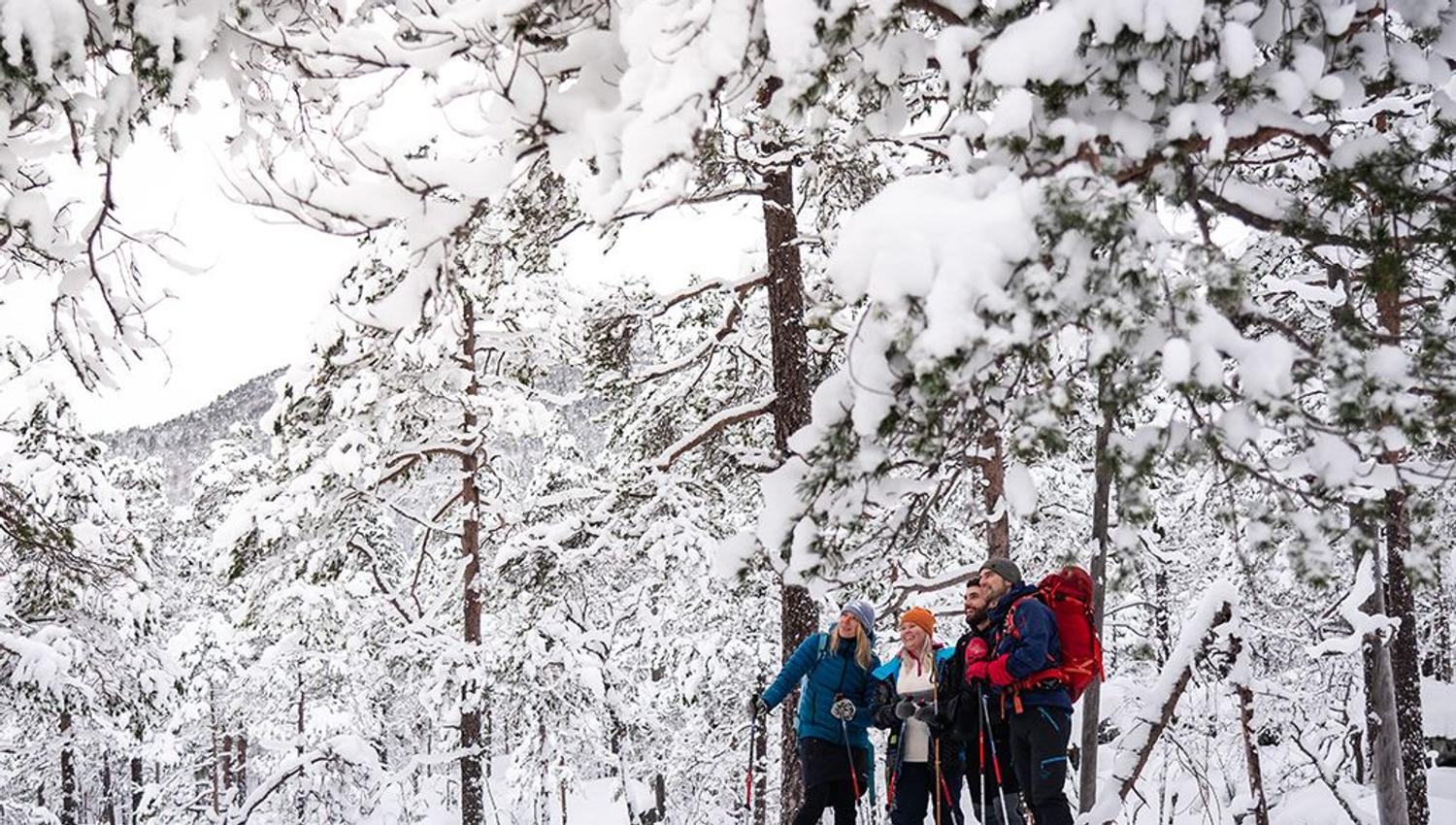 Trugetur i Raundalen