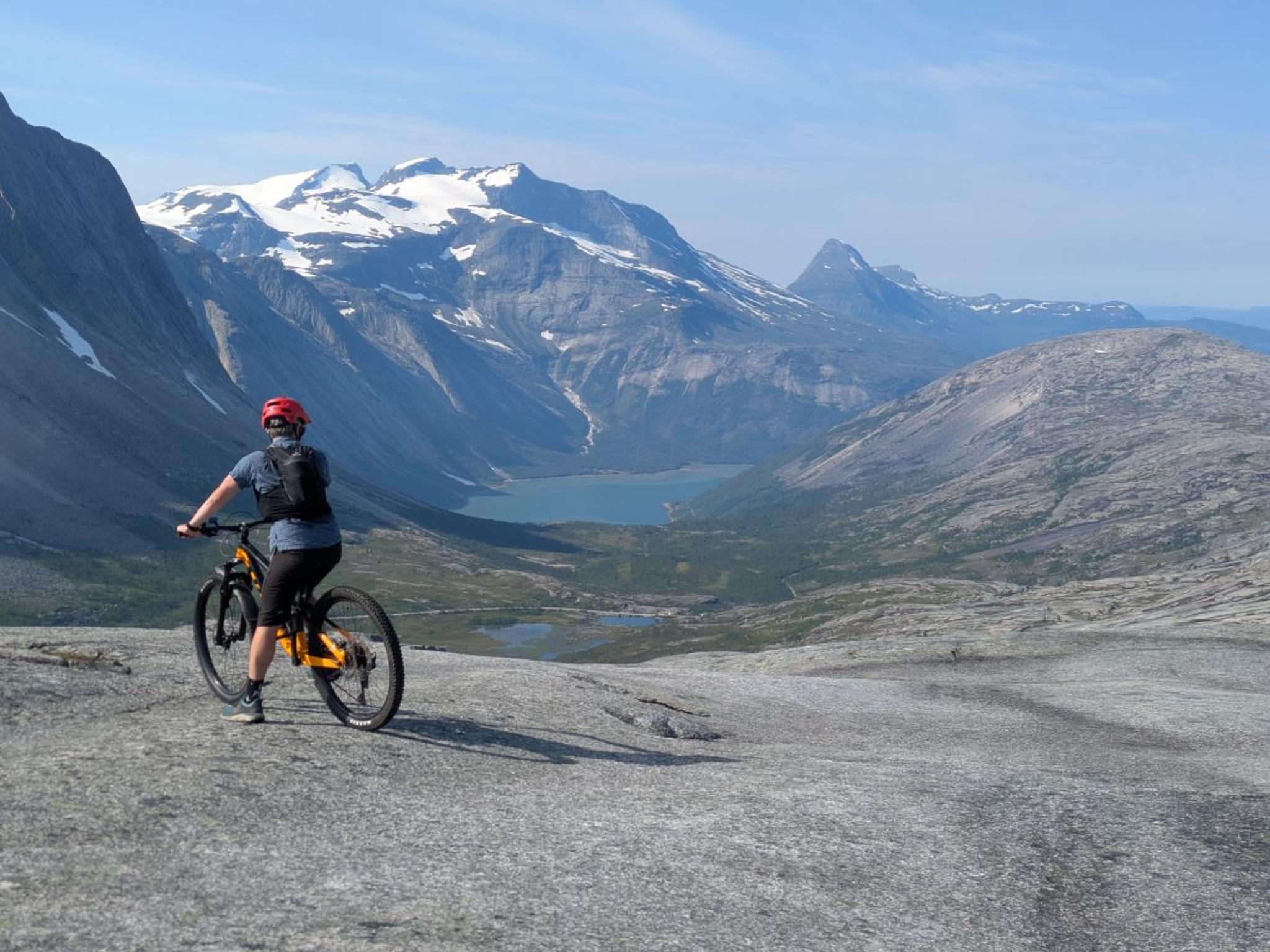 Bike and Shuttle - Reinnesfjellet made easy!