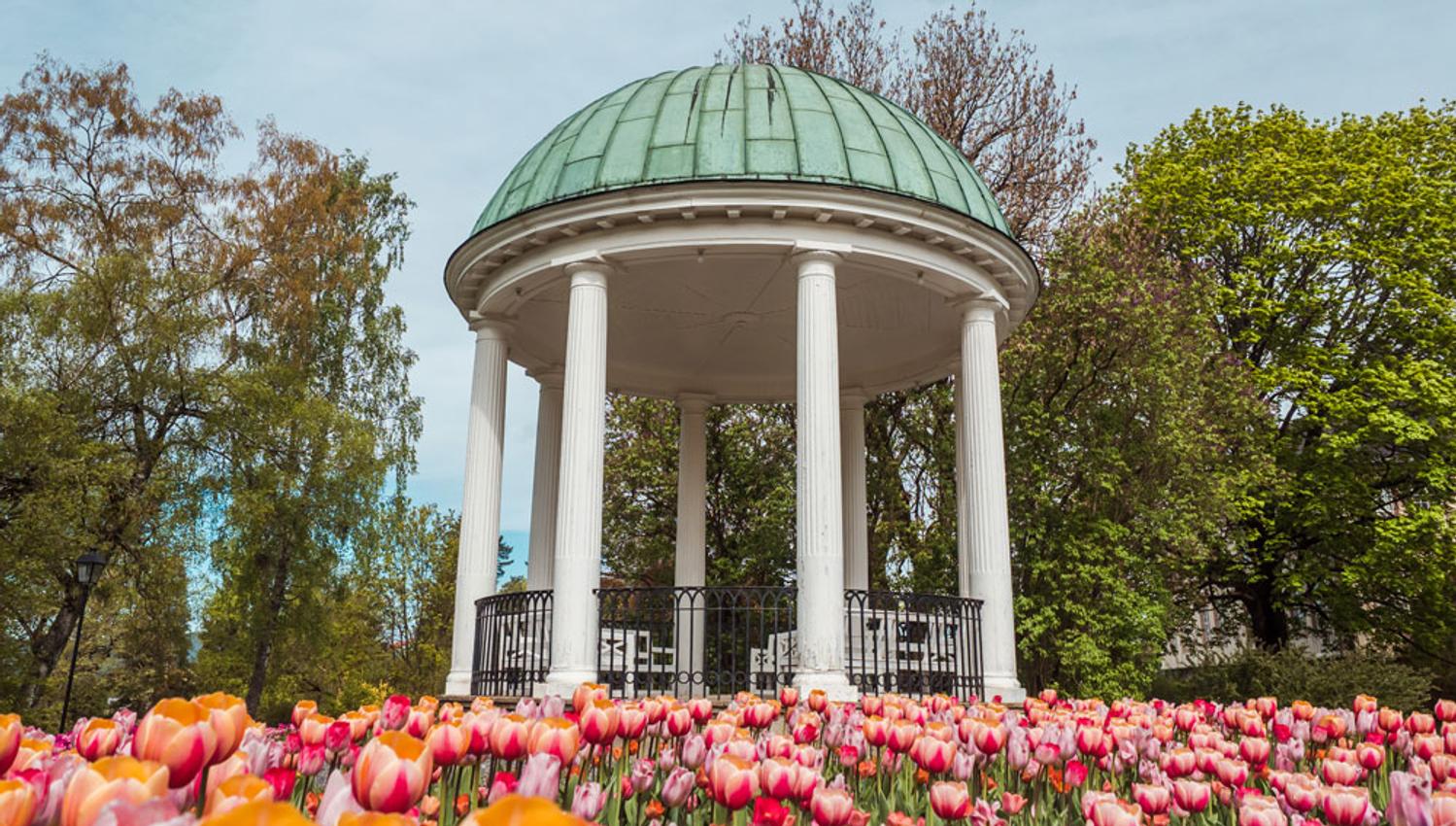 Paviljong Brekkeparken tulipaner