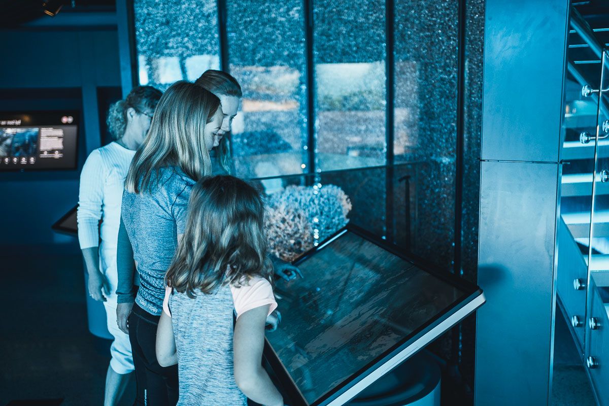 A family visit to an exhibit with interactive learning materials about the fjords in Hardanger at the Folgefonnsenteret.