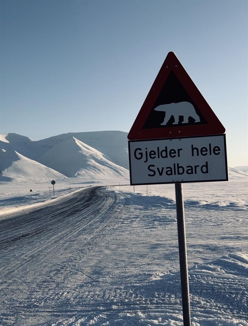 Fareskilt for Isbjørn i Adventdalen