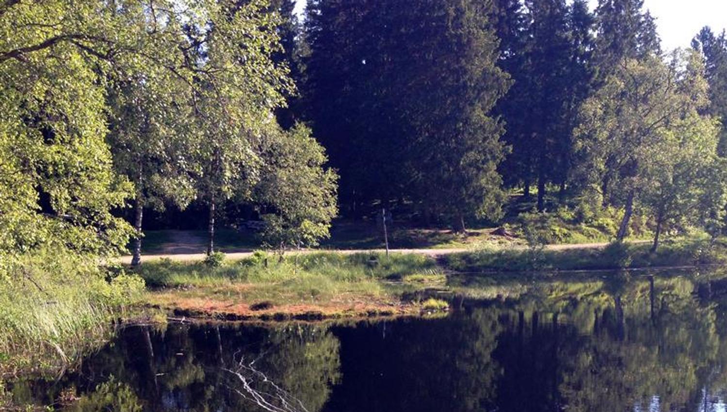 Skjennungen.