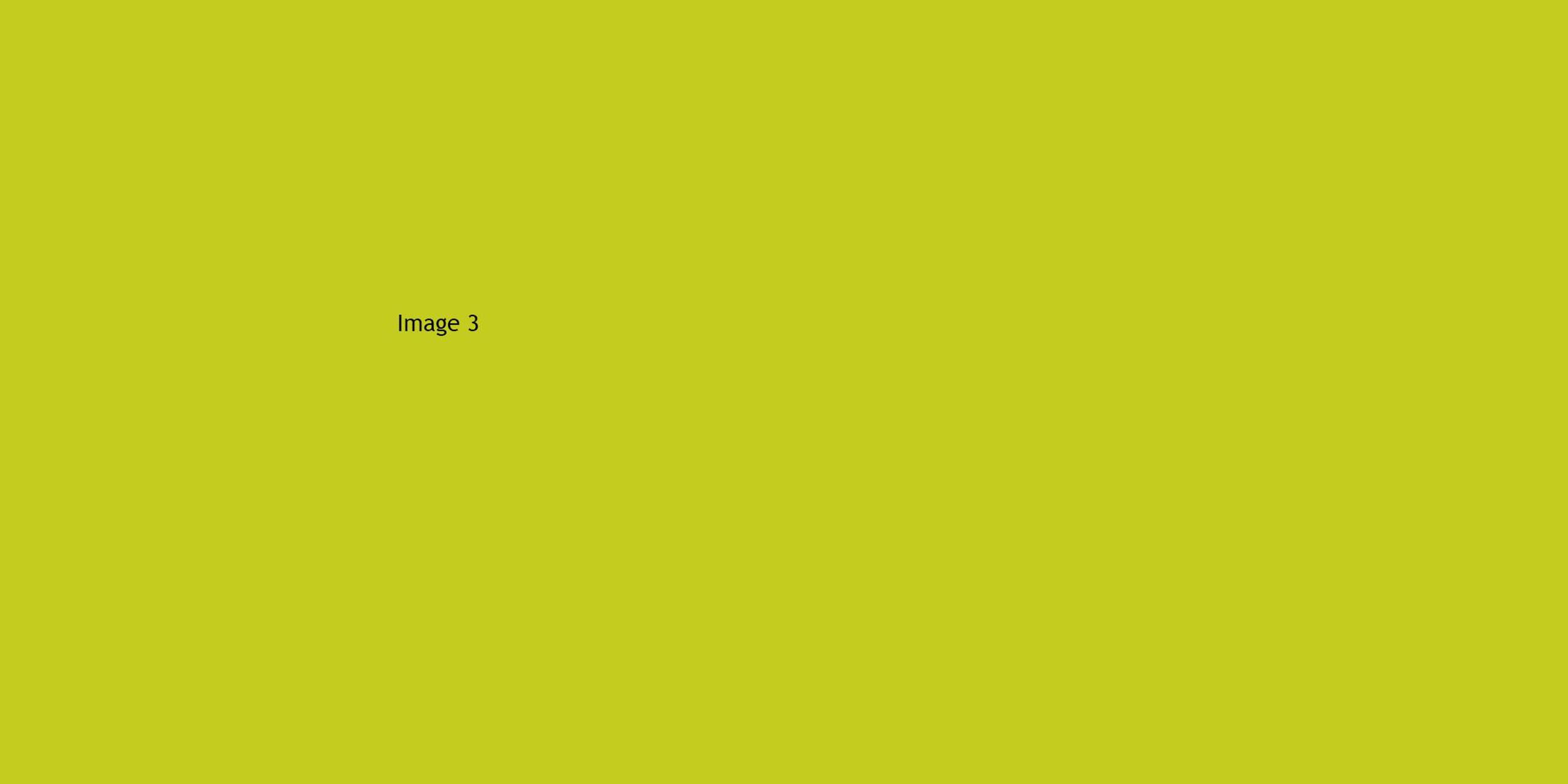 This is the image ALT Text.