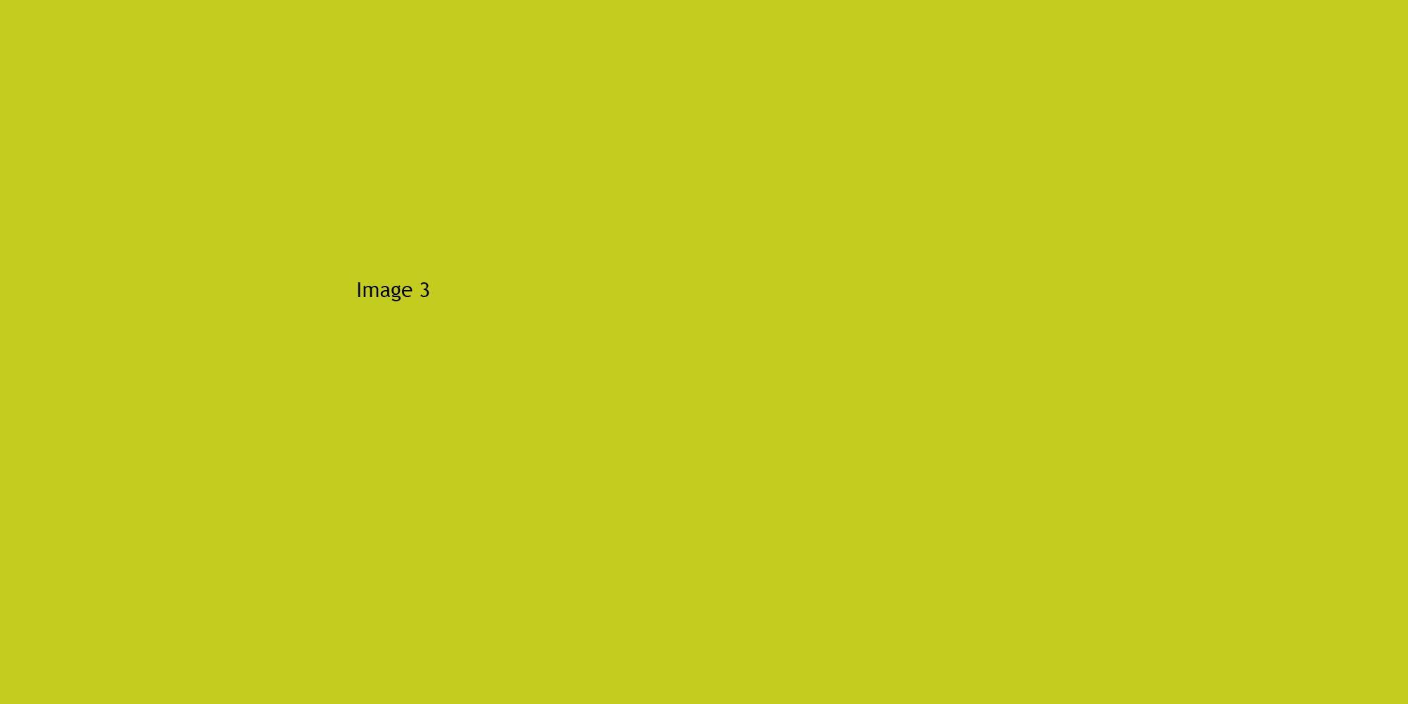 This is the image ALT Text.