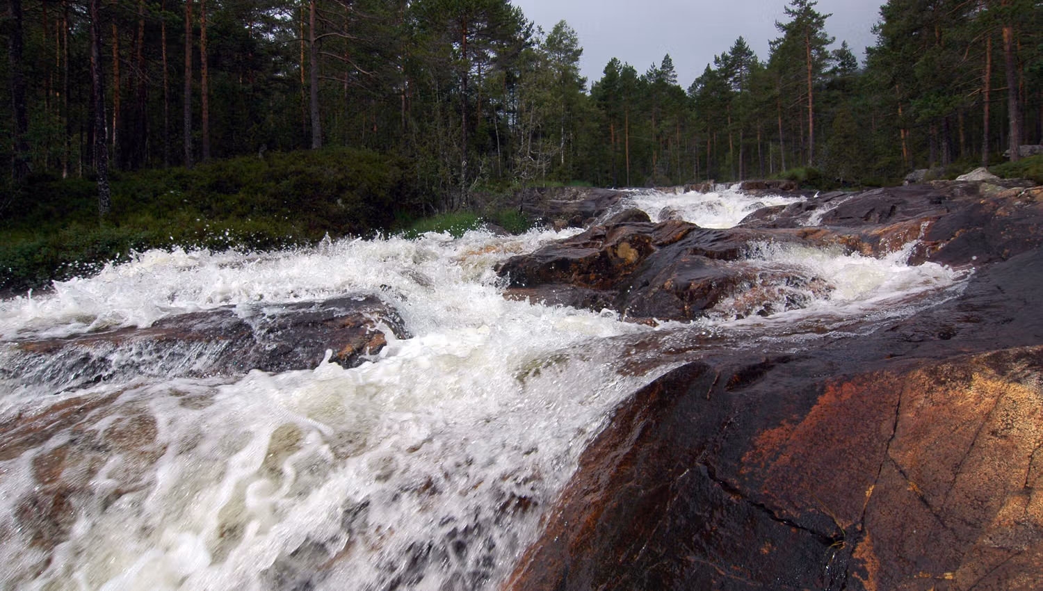 Rysstad turpark