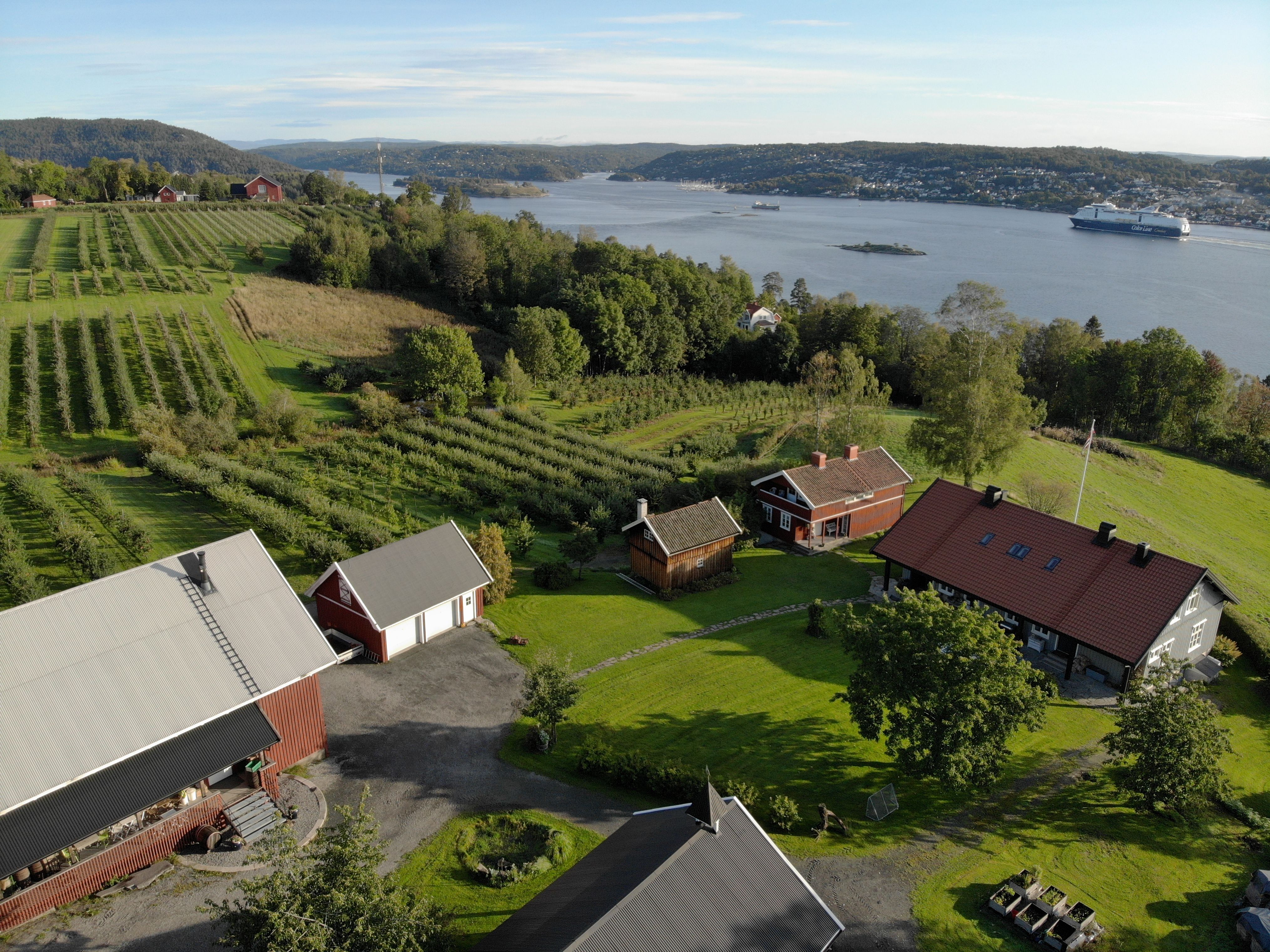 View of Eplegaarden and the Oslo fjord