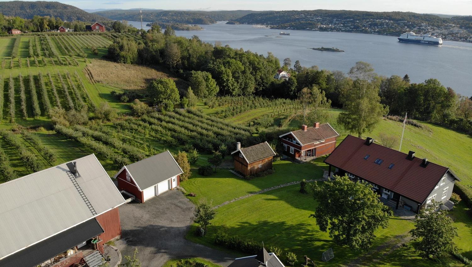 View of Eplegaarden and the Oslo fjord