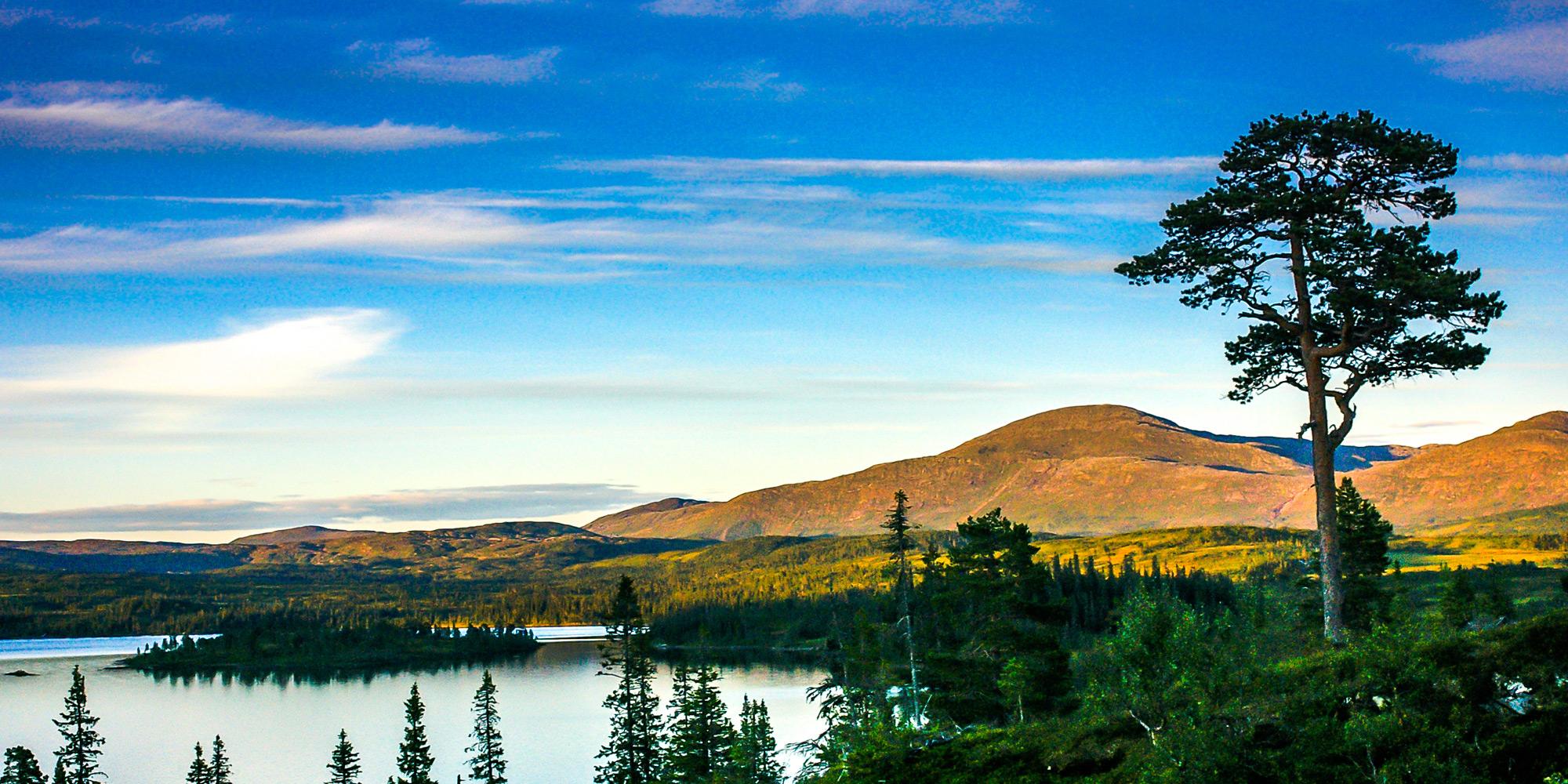 Lake Åsvatnet-Skjækra--Skjækerhatten mountain