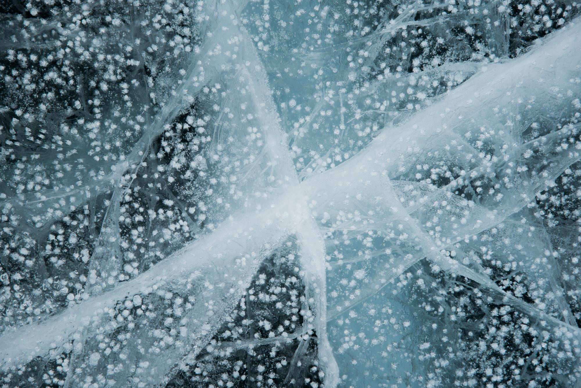 Ice fishing with your personal guide