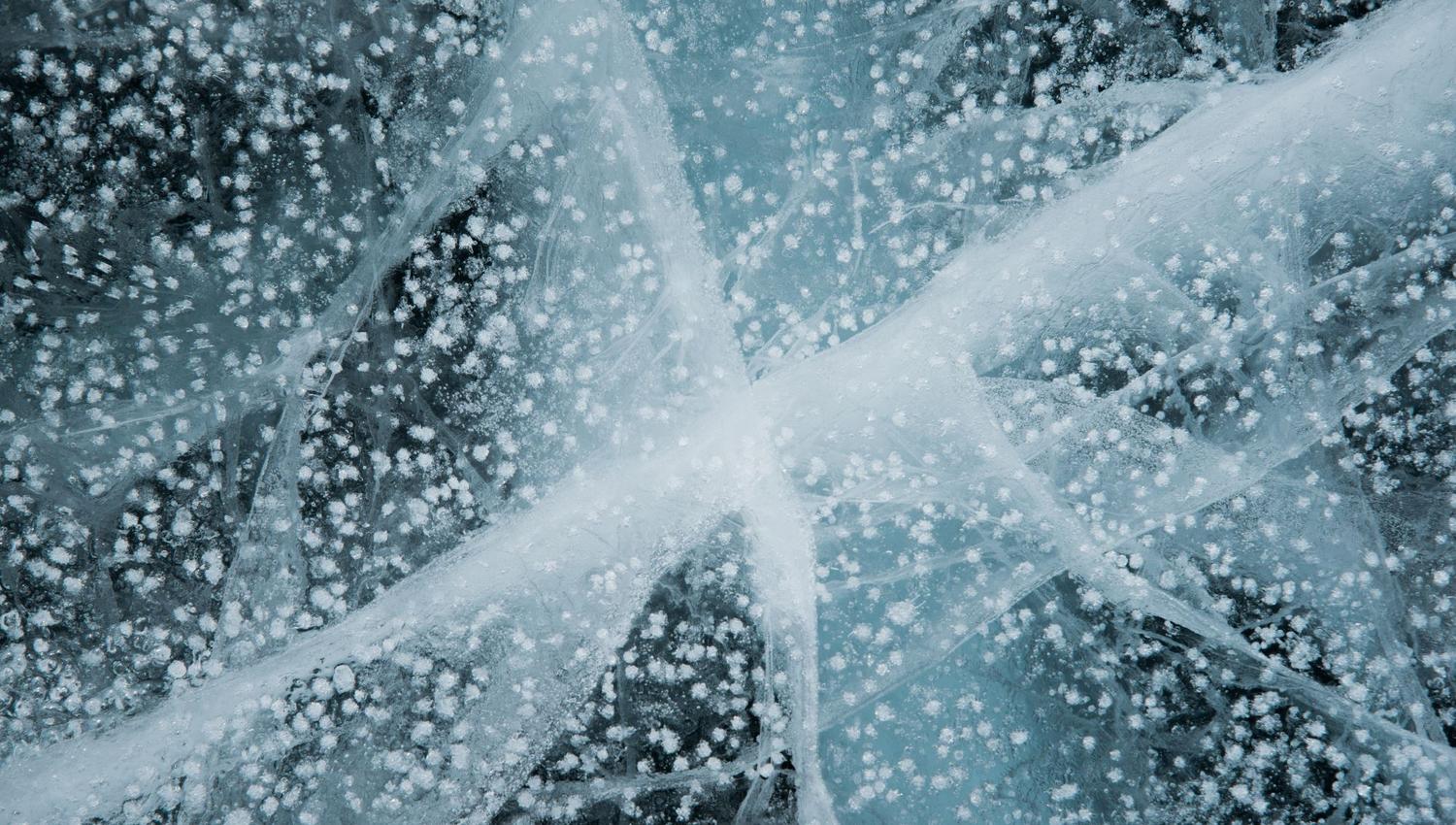 Ice fishing with your personal guide