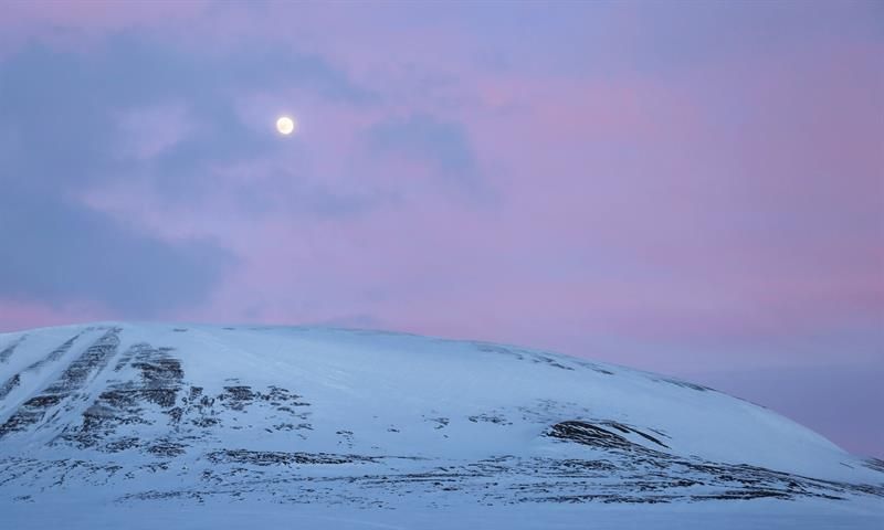 Snøscooter ses i det fjerne, i et delvist snødekt landskap med rosa himmel