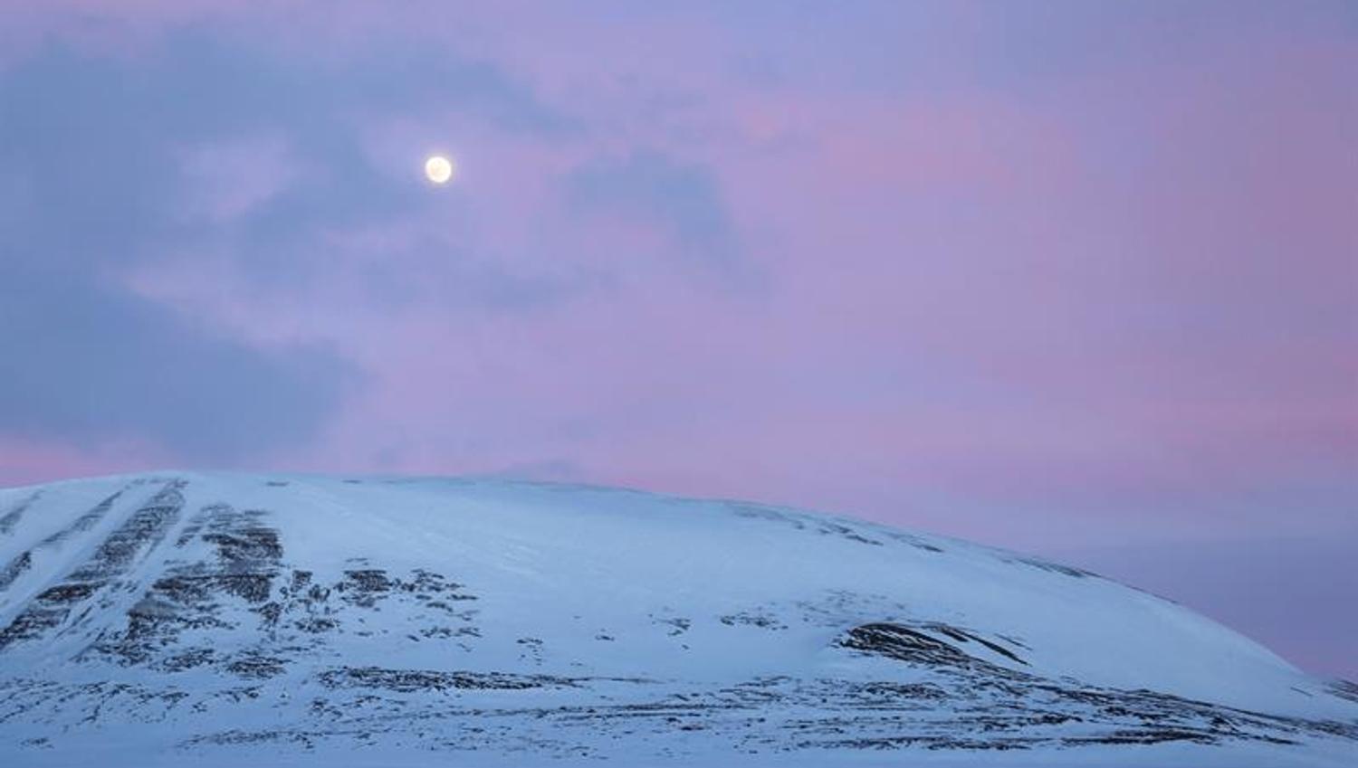 Snøscooter ses i det fjerne, i et delvist snødekt landskap med rosa himmel