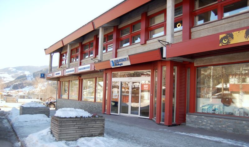 Gjensidige Hallingdal