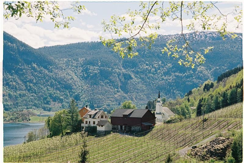 Ølmheim Siderhage
