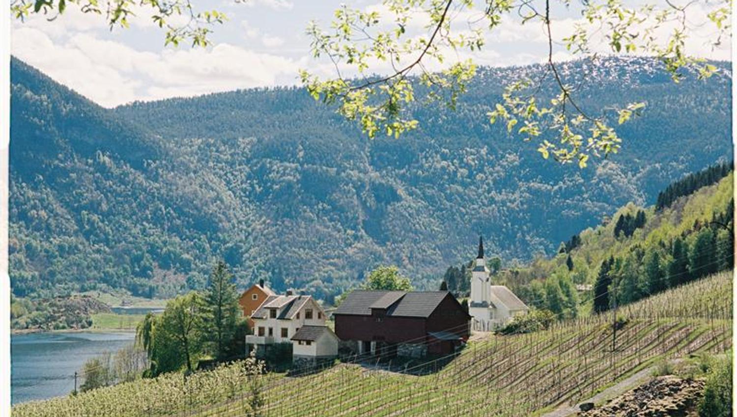Ølmheim Siderhage