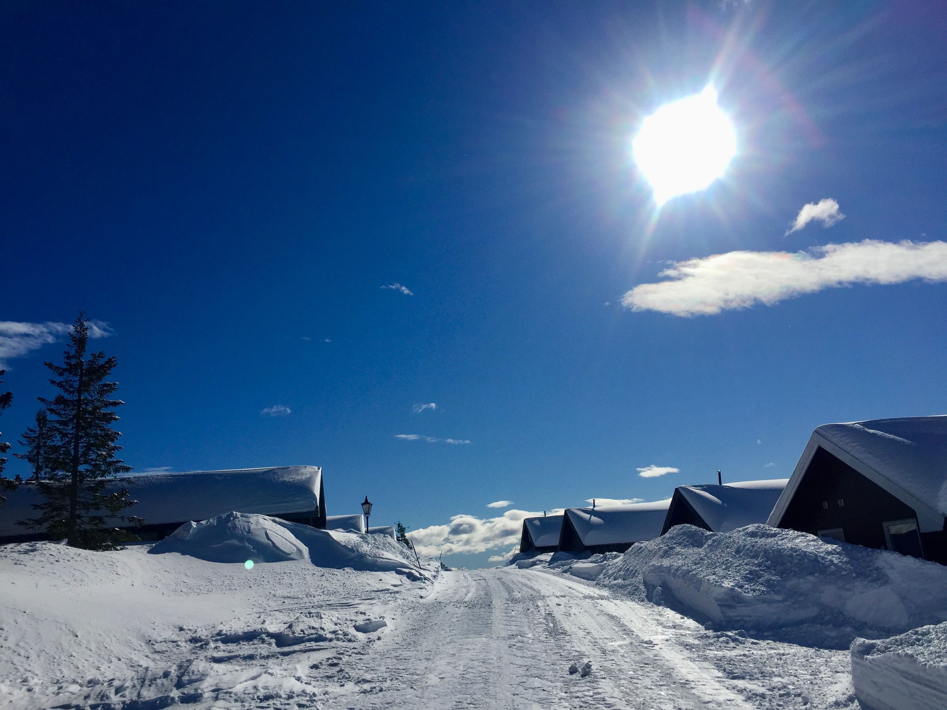 Vinter på Lifjelltunet