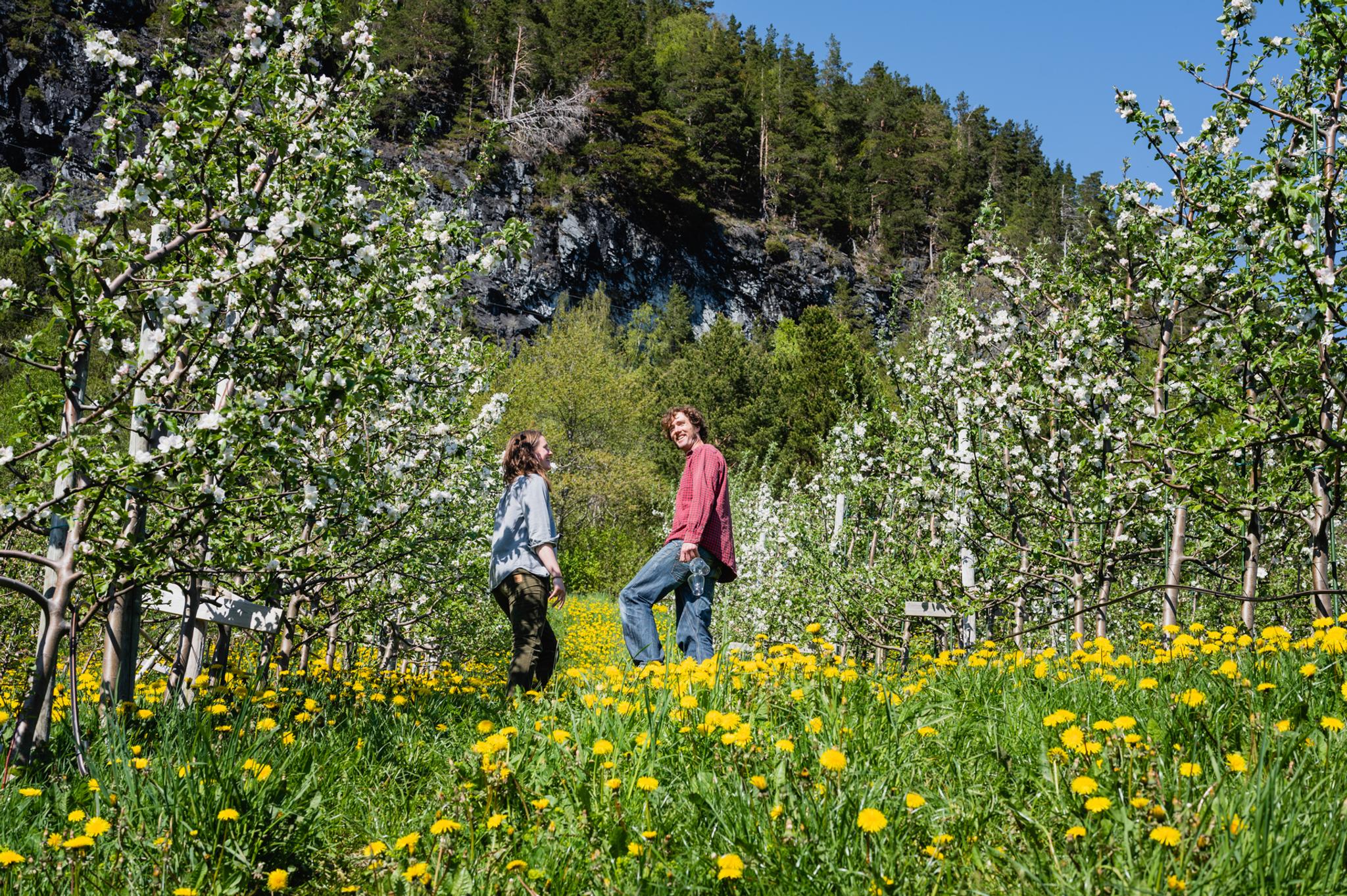 Elida and Peje in the orchard