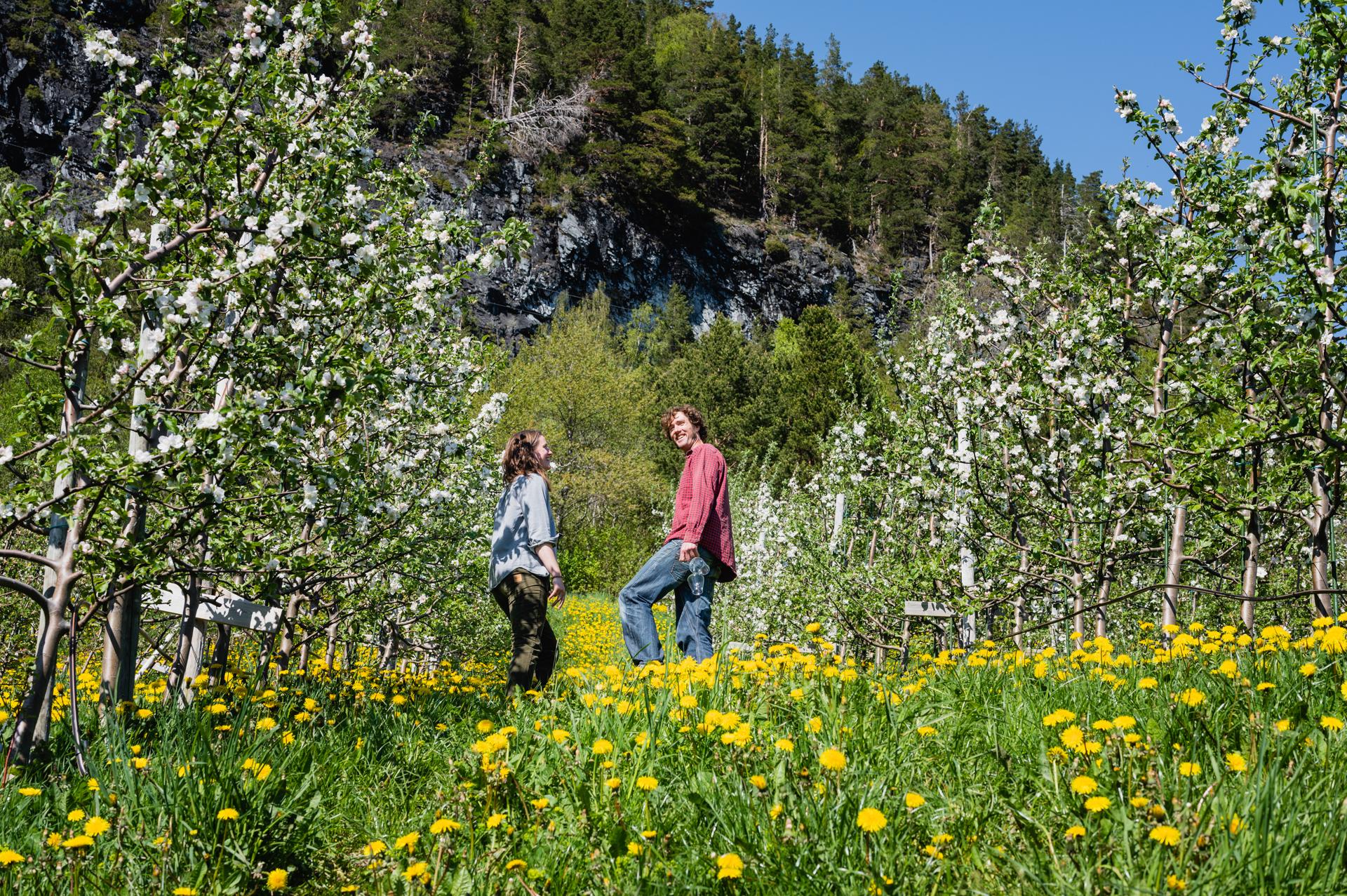 Elida and Peje in the orchard