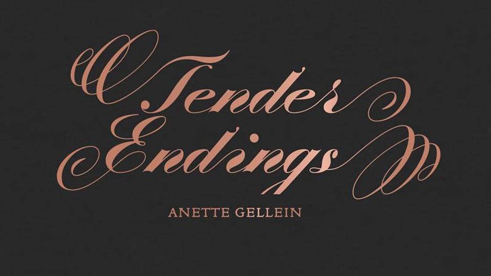 Book cover of Tender Endrings 