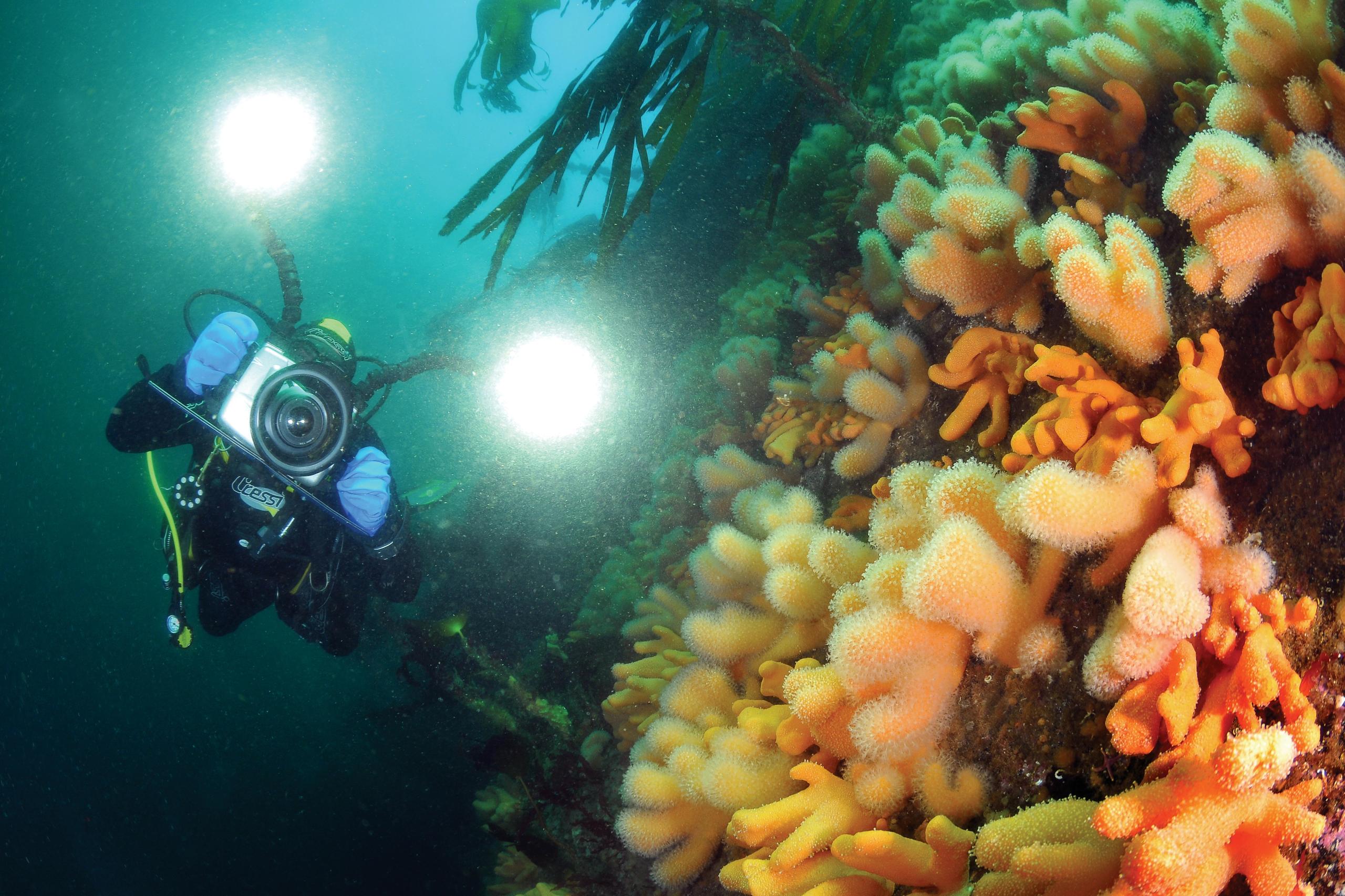 Gulen Dive Resort