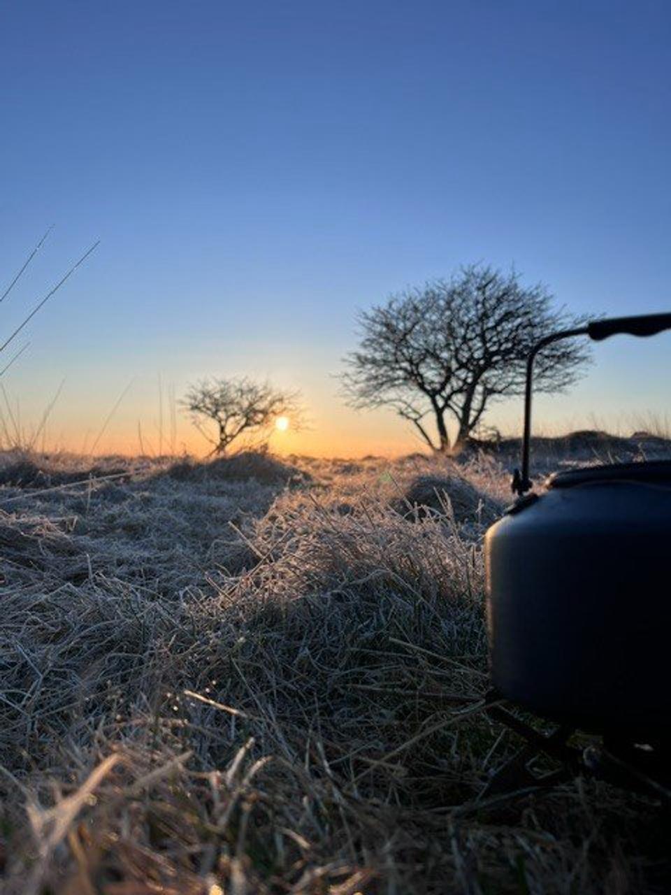 Natt i Naturen