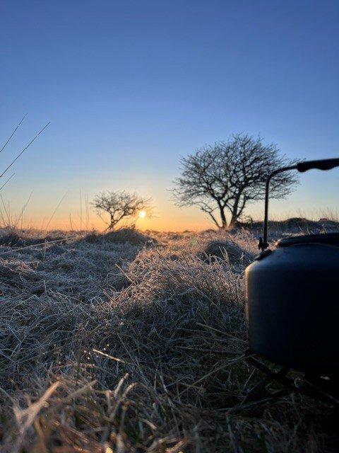 Natt i Naturen