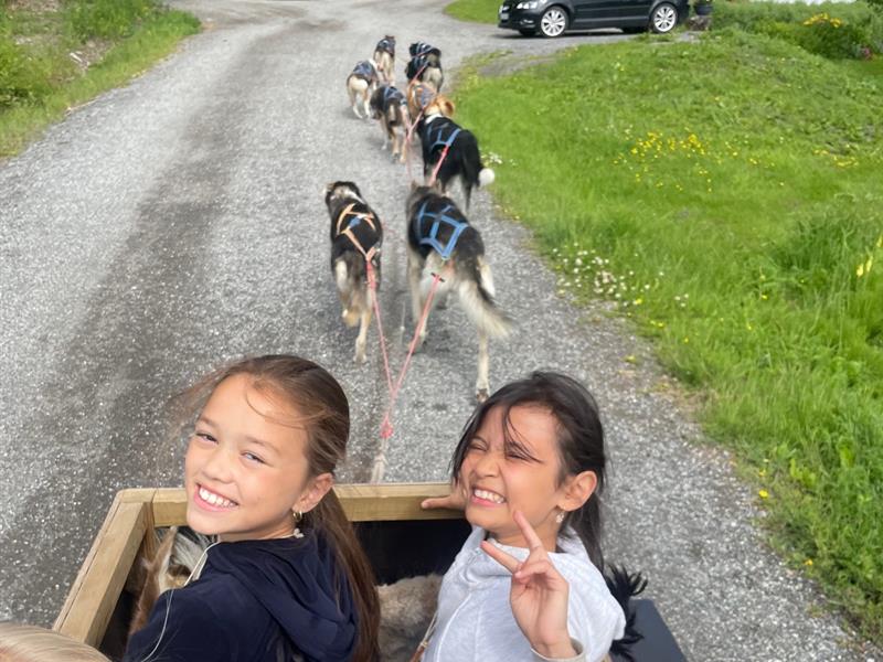 Dog sledding