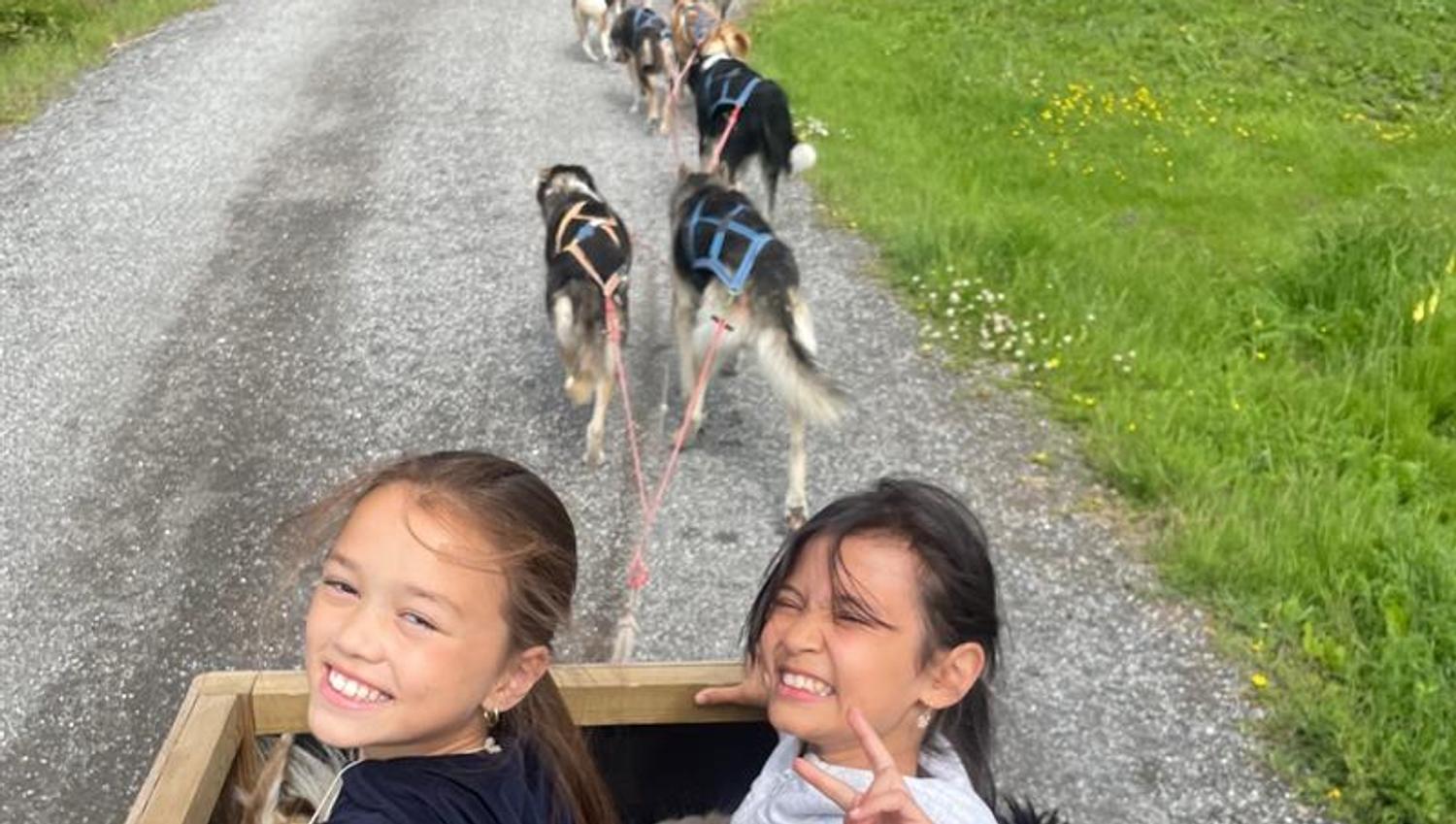 Dog sledding