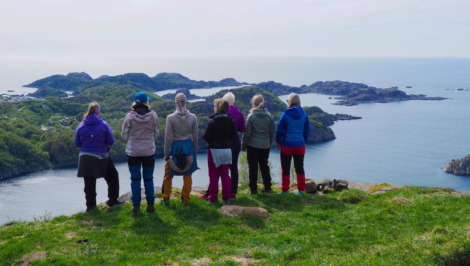 Turfølge på Kongsfjellet