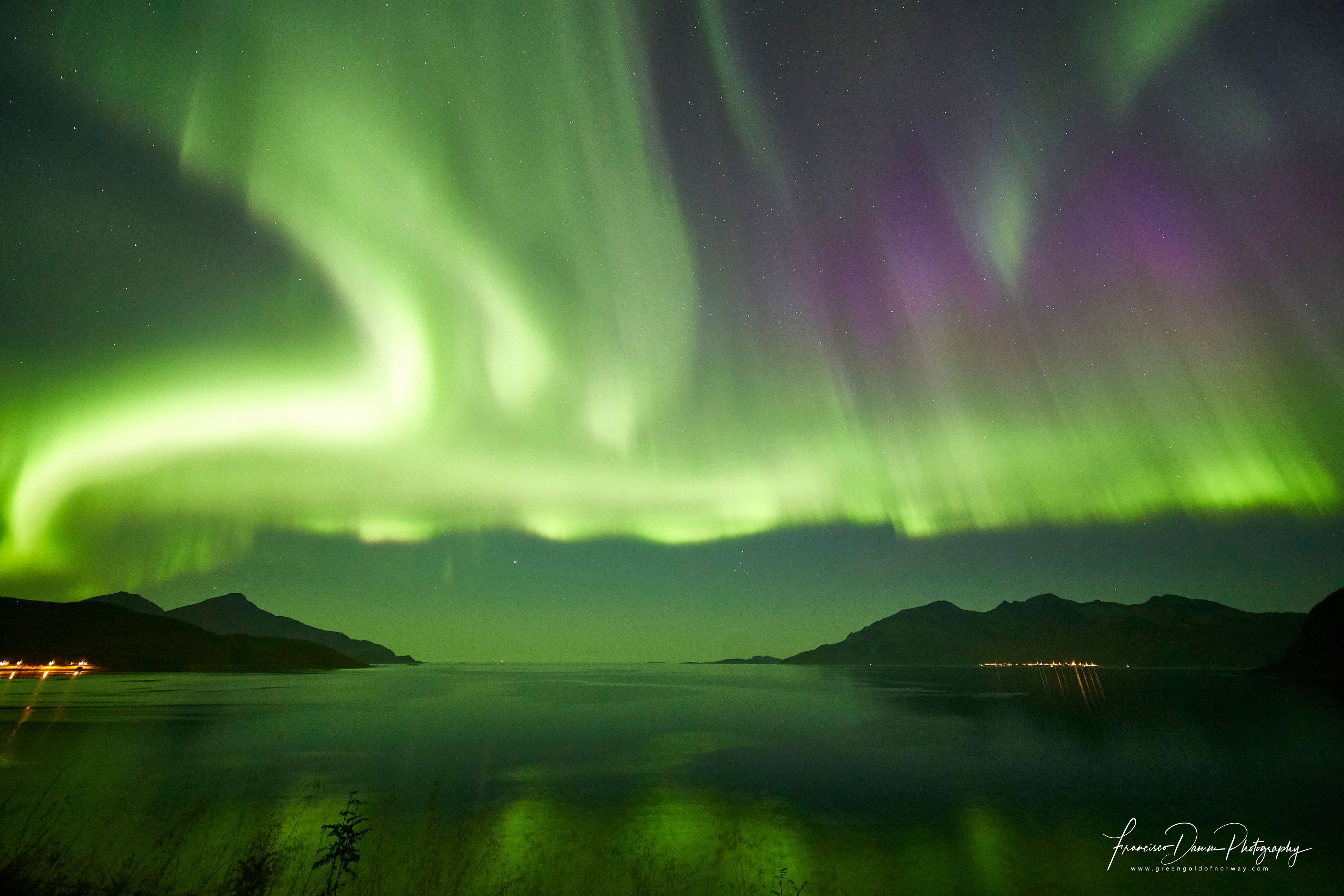 northern lights in the sky surrounded by beautiful nature 