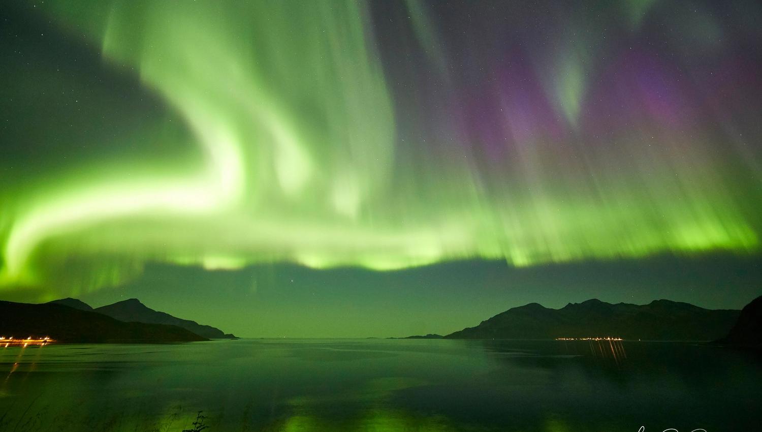 northern lights in the sky surrounded by beautiful nature