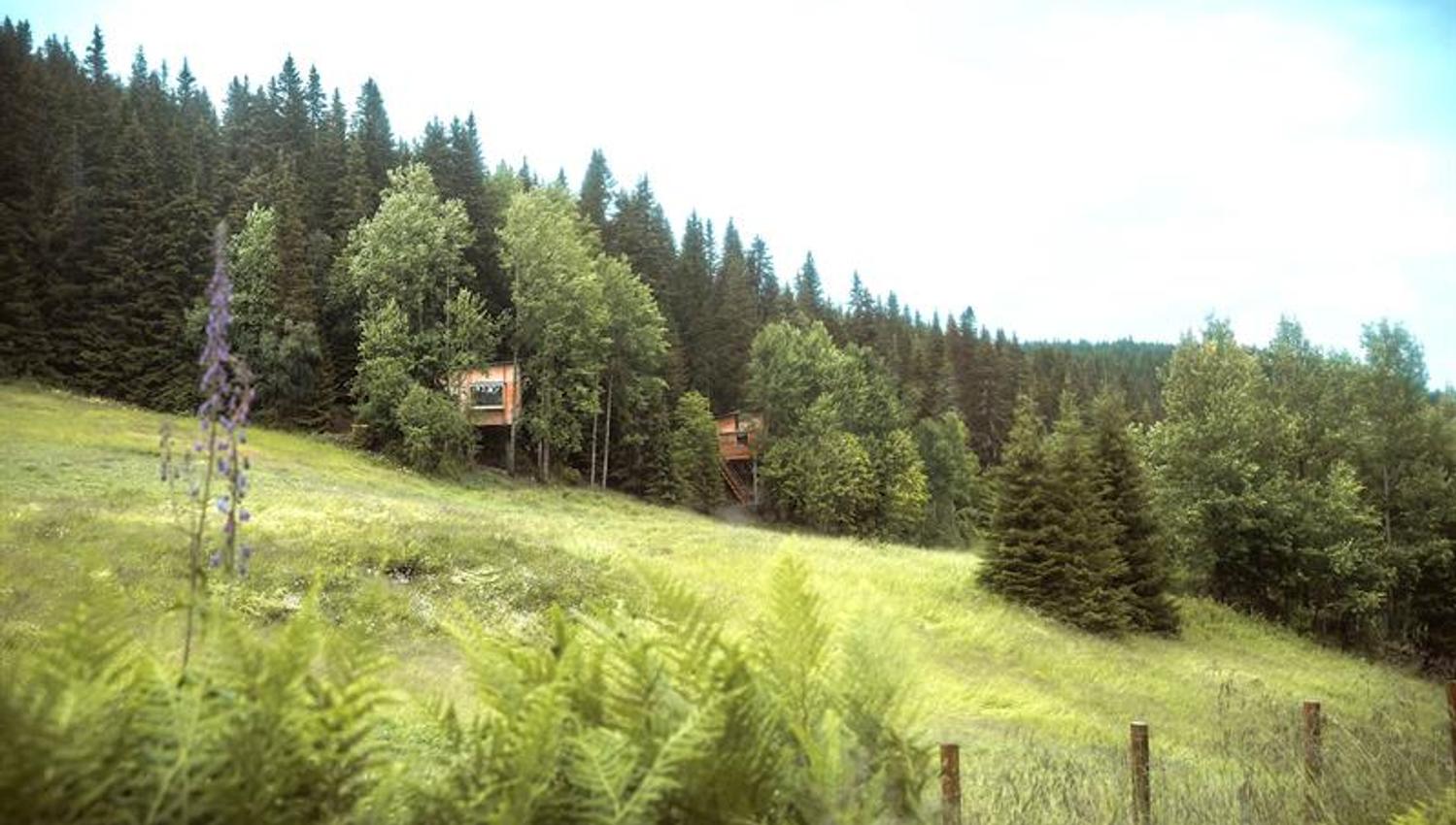 2 hytter i tretoppene med masse skog og grønt rundt