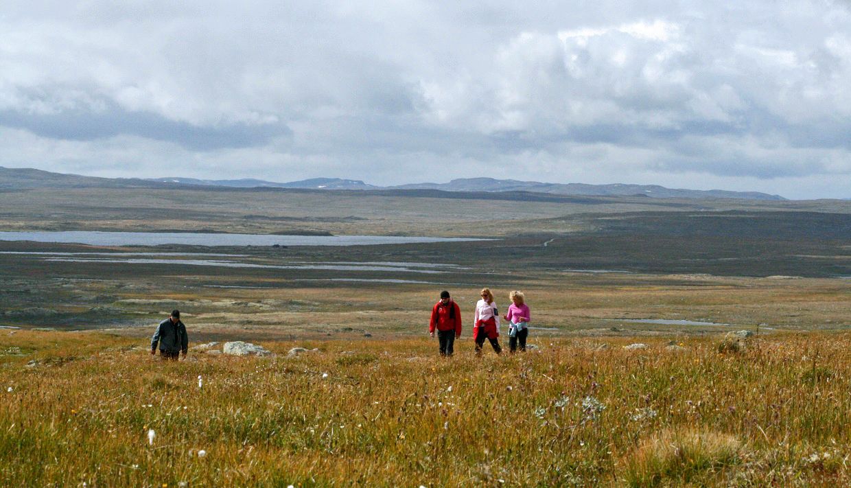 4 persons hiking through autumn colored mountain terrain.