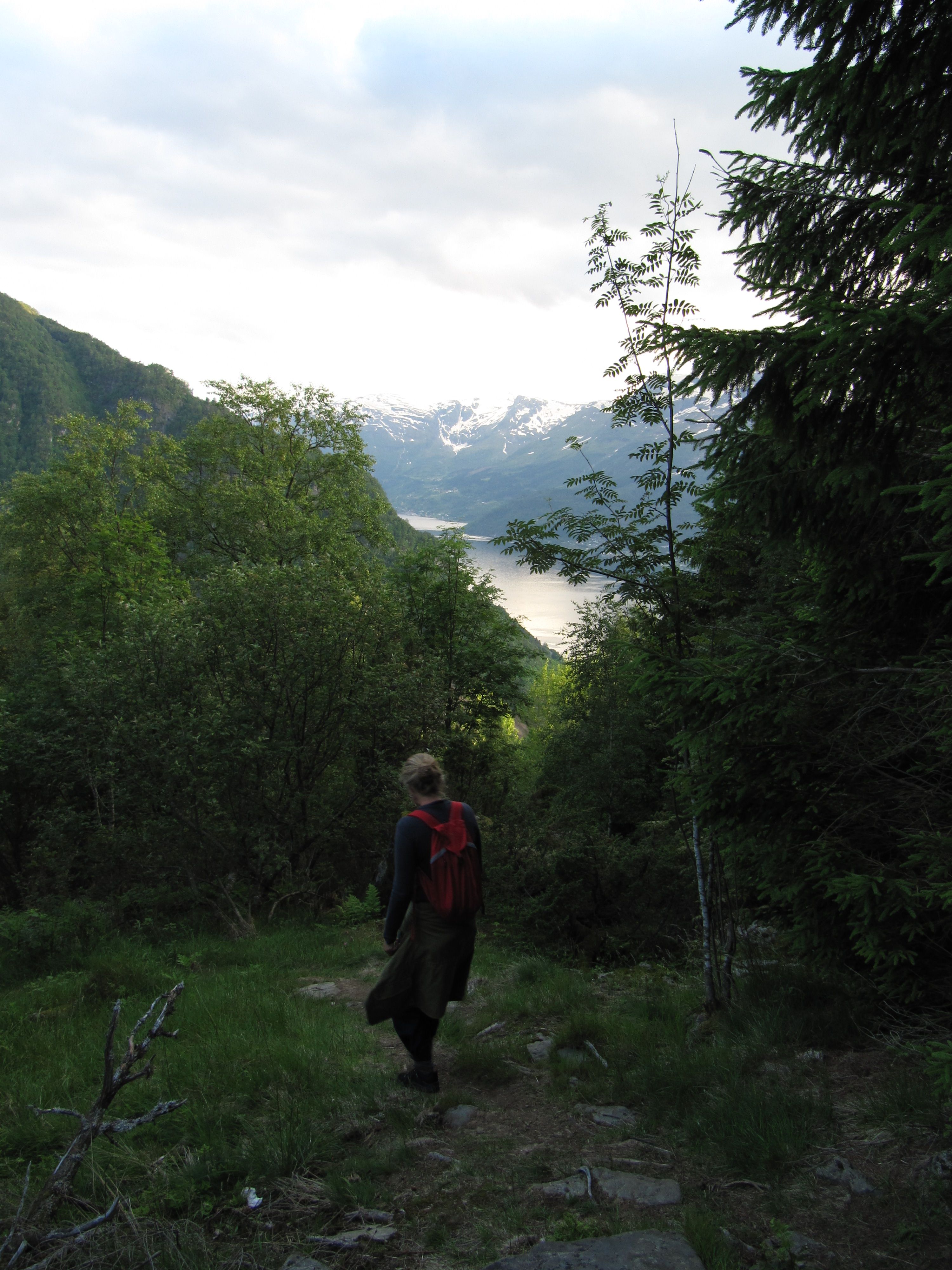 Hiker on a forest path along the Hovden rundt trail, overlooking the Hardangerfjord and snow-covered peaks.