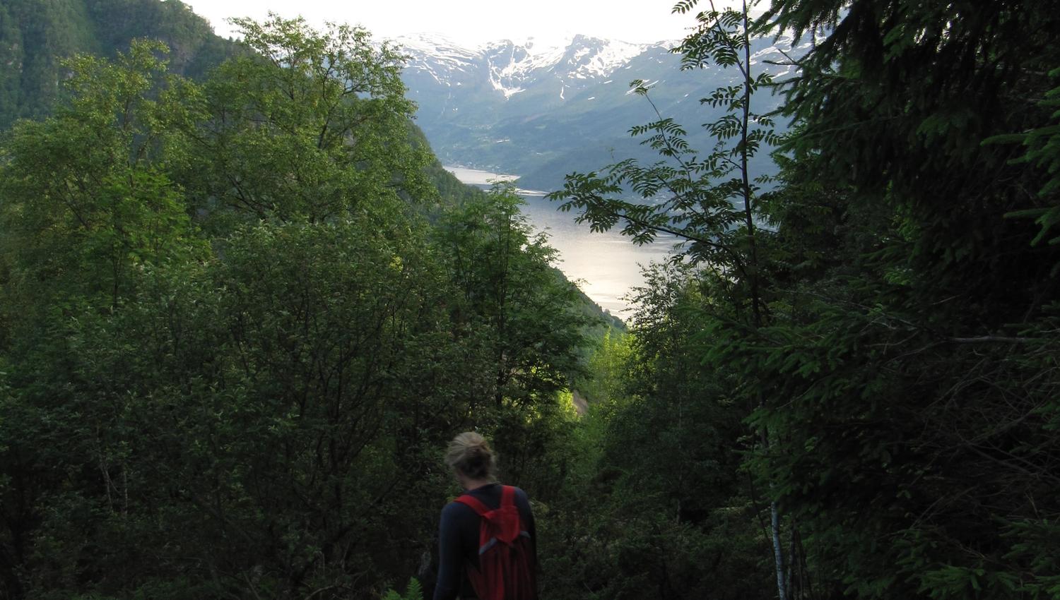 Hiker on a forest path along the Hovden rundt trail, overlooking the Hardangerfjord and snow-covered peaks.