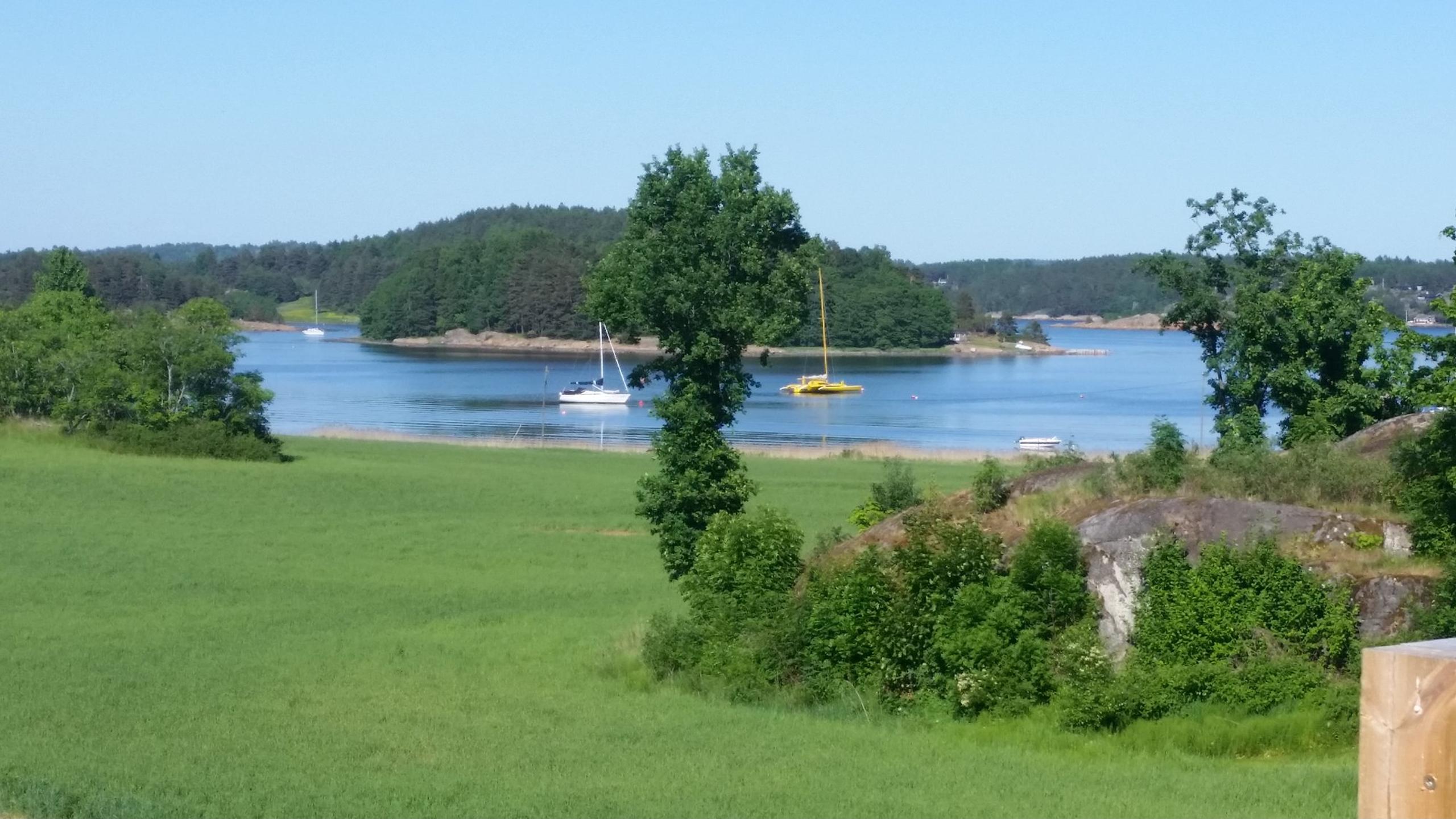 The grass area and water