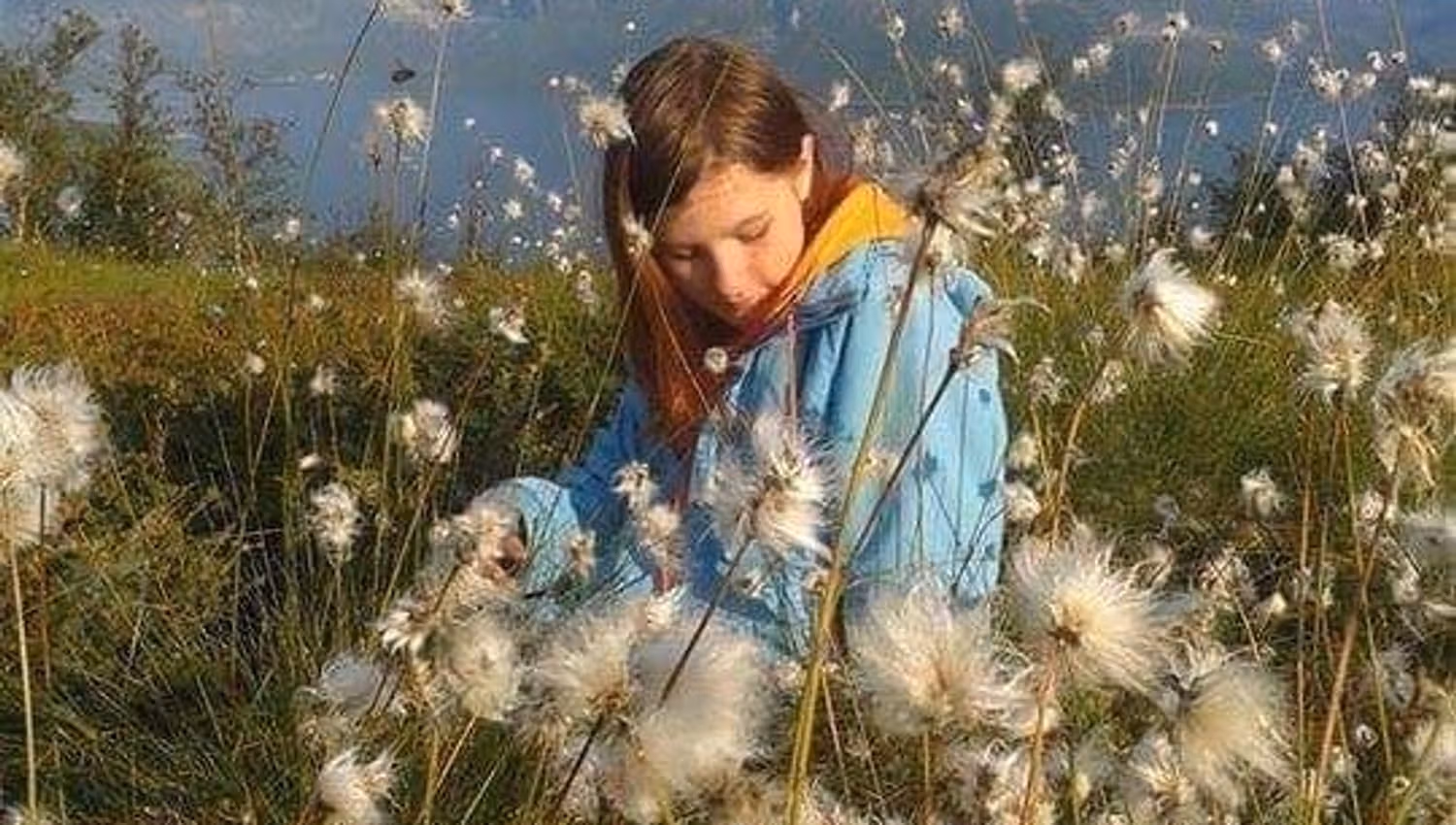 Girl sitting on the ground surrounded by cotton grass