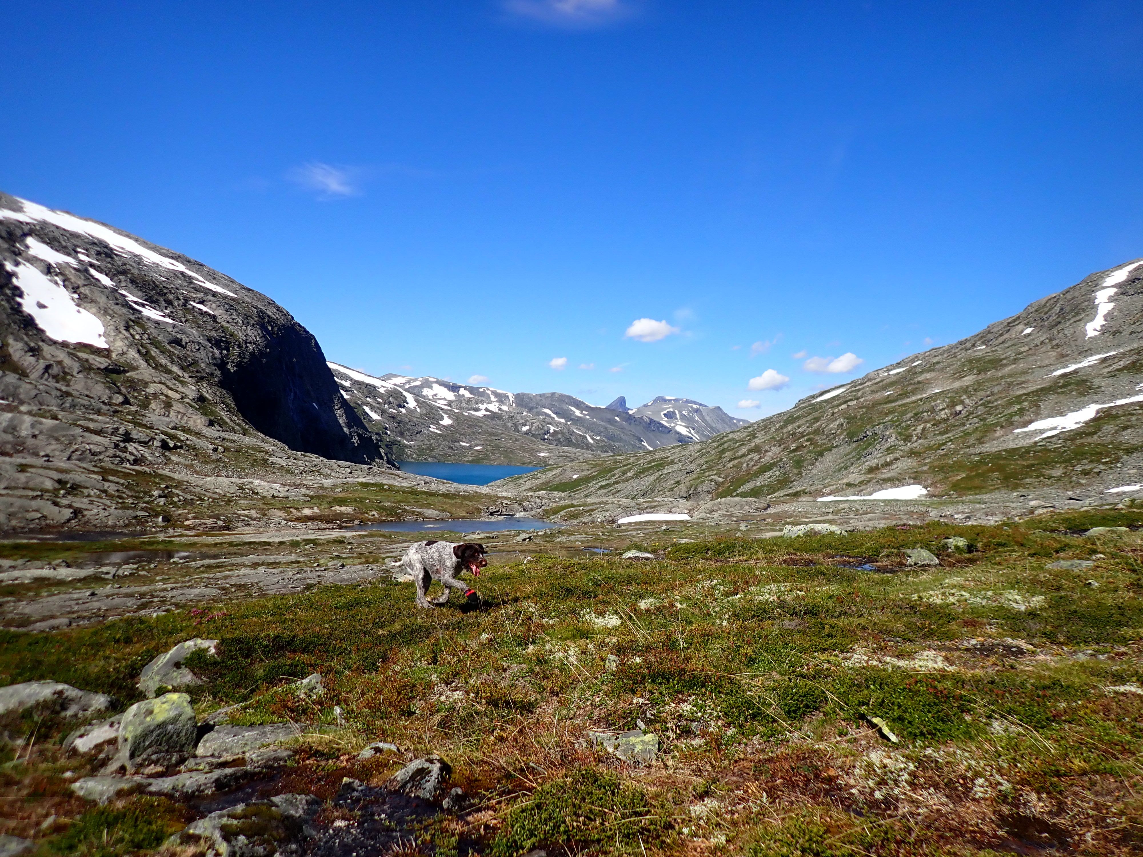 Rundtur vest i Tafjordfjella