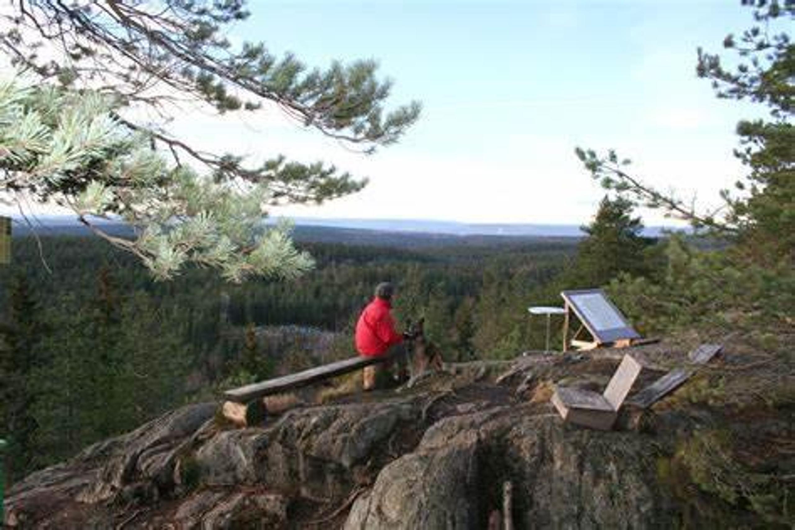 Tømmera°s