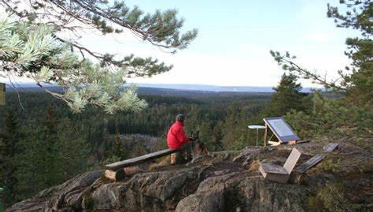 Tømmera°s