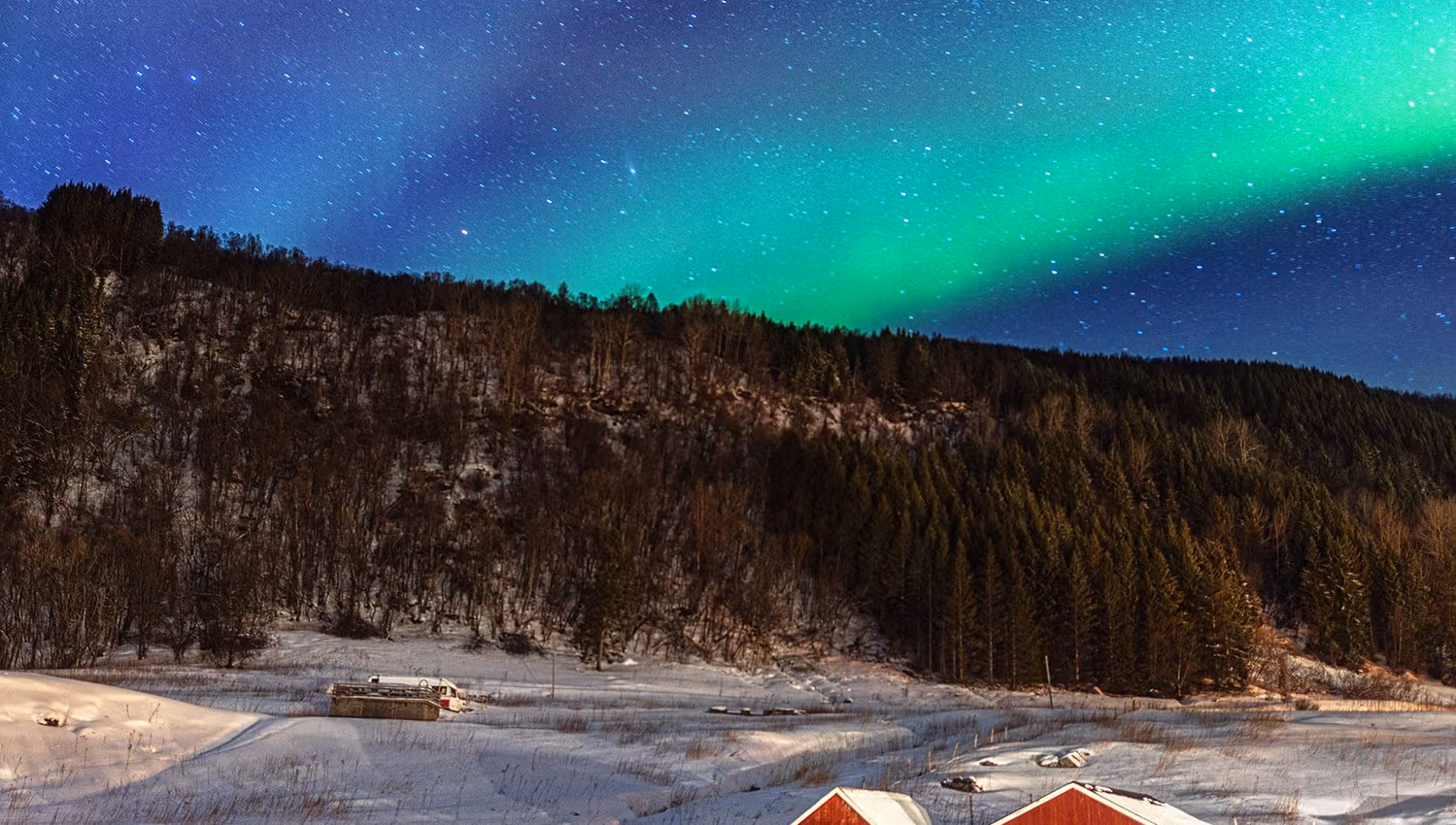 Northern Lights over farm and forest
