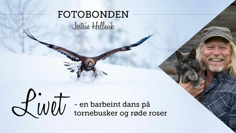 A poster featuring Jostein Hellevik with a cat and the title of his talk