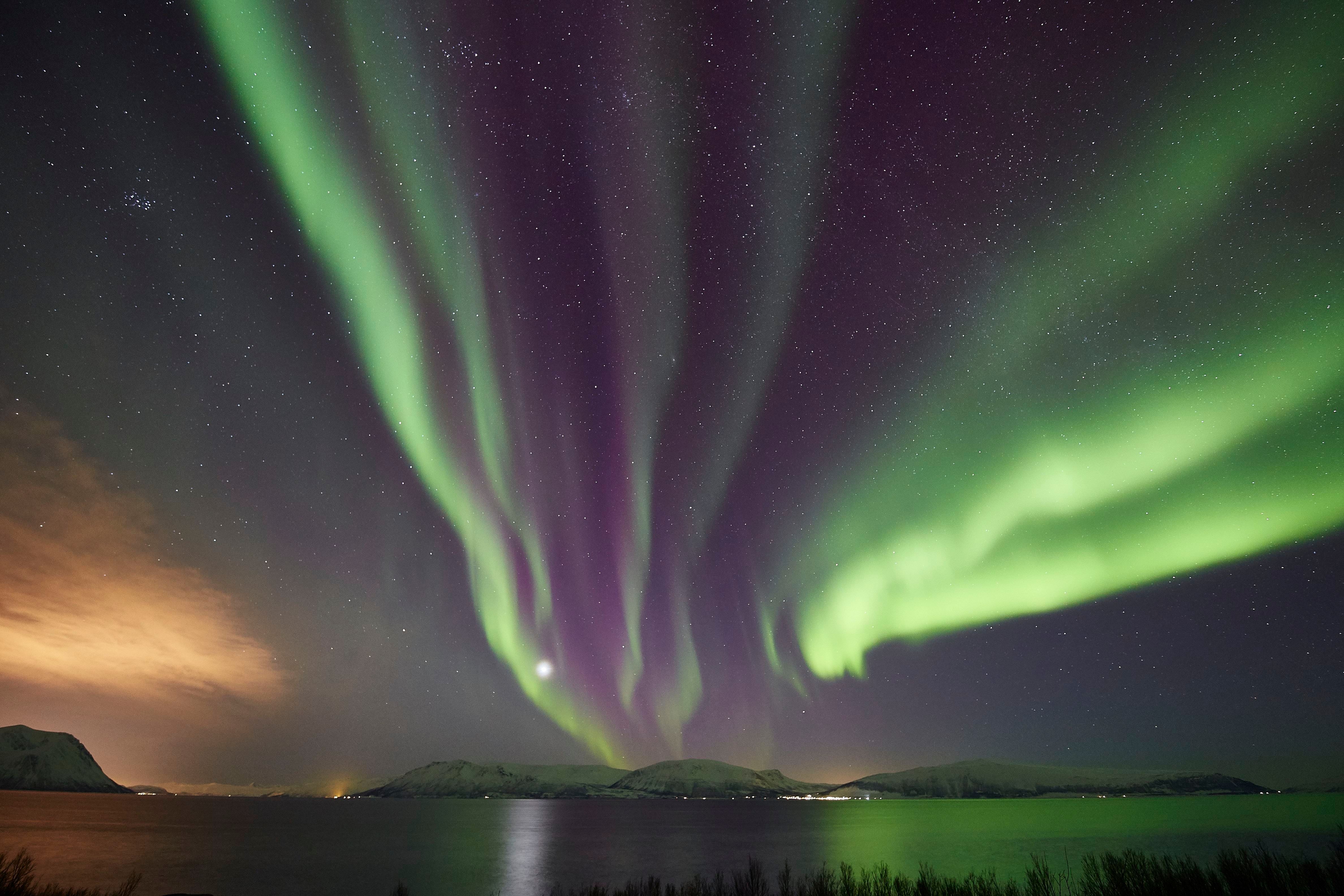 northern lights over the water, with some land in the background