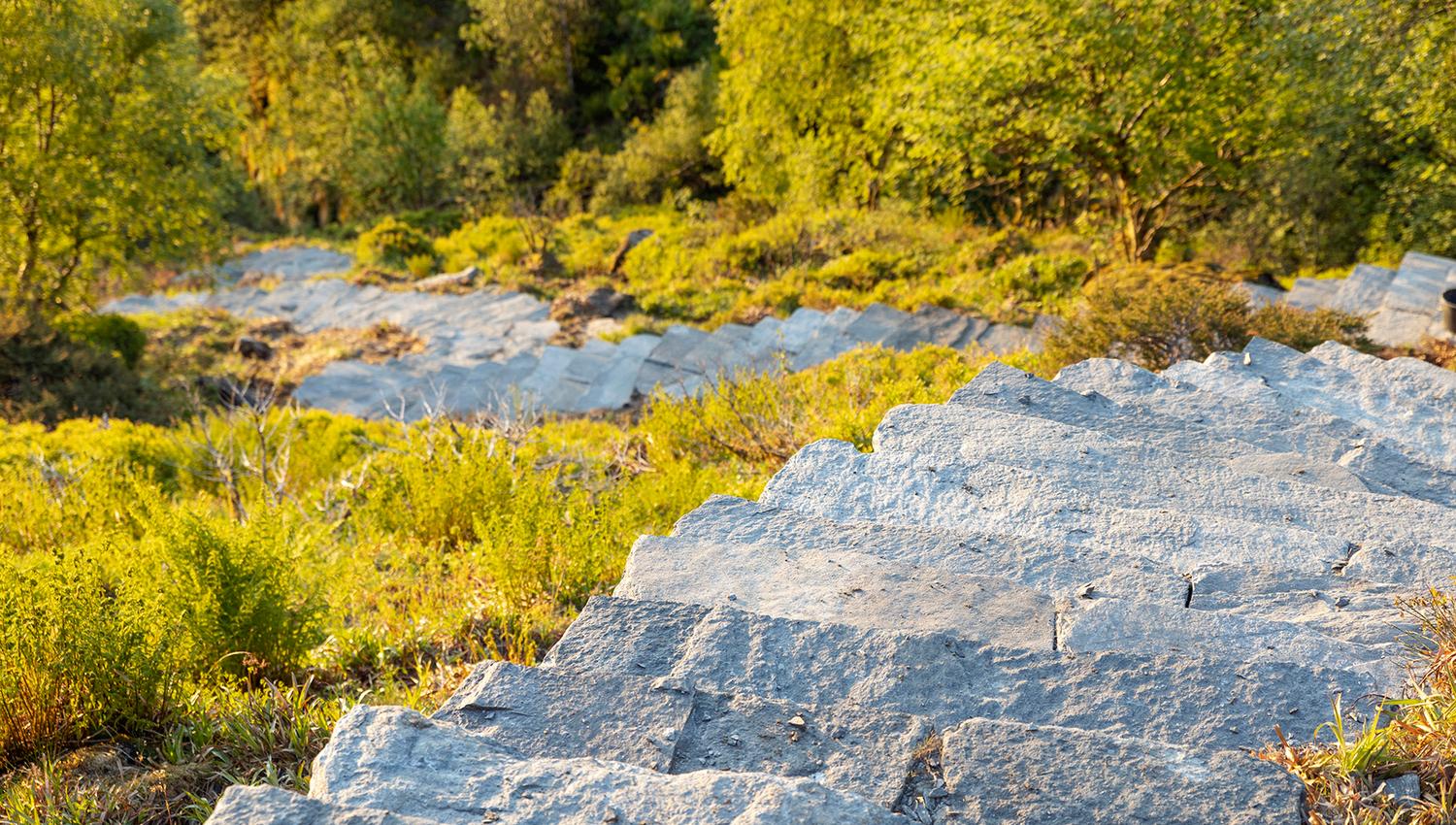 Sherpa stairs on part of the path