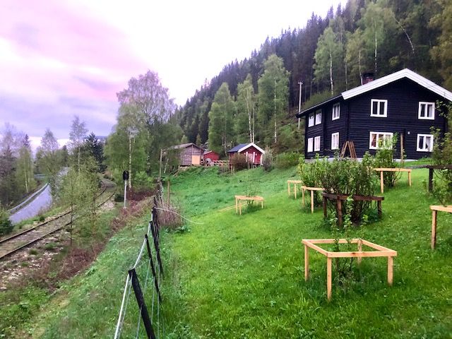 frognerhagen