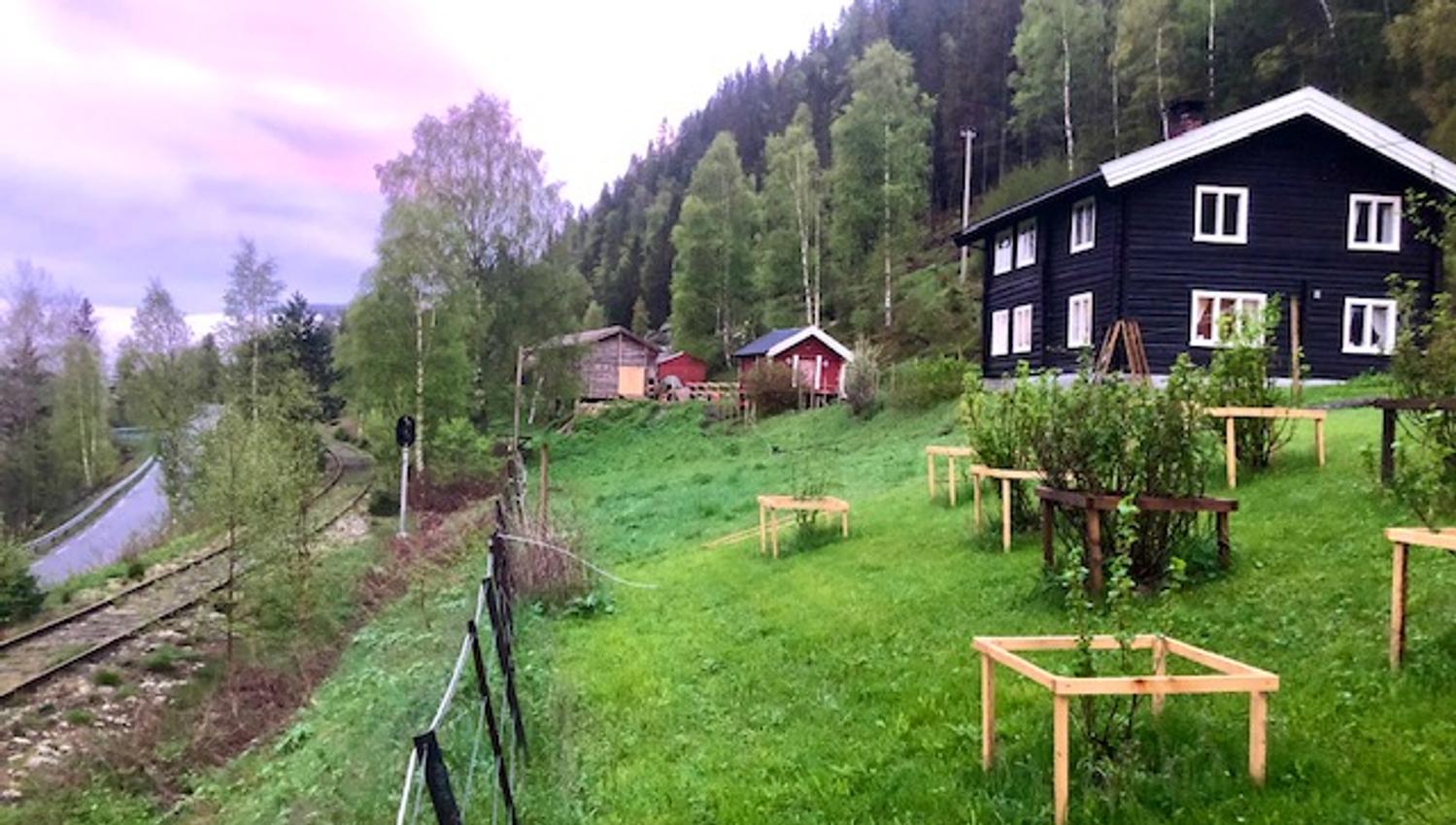 frognerhagen