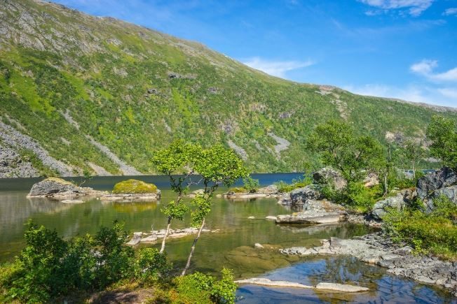 Photo of the summer landscape
